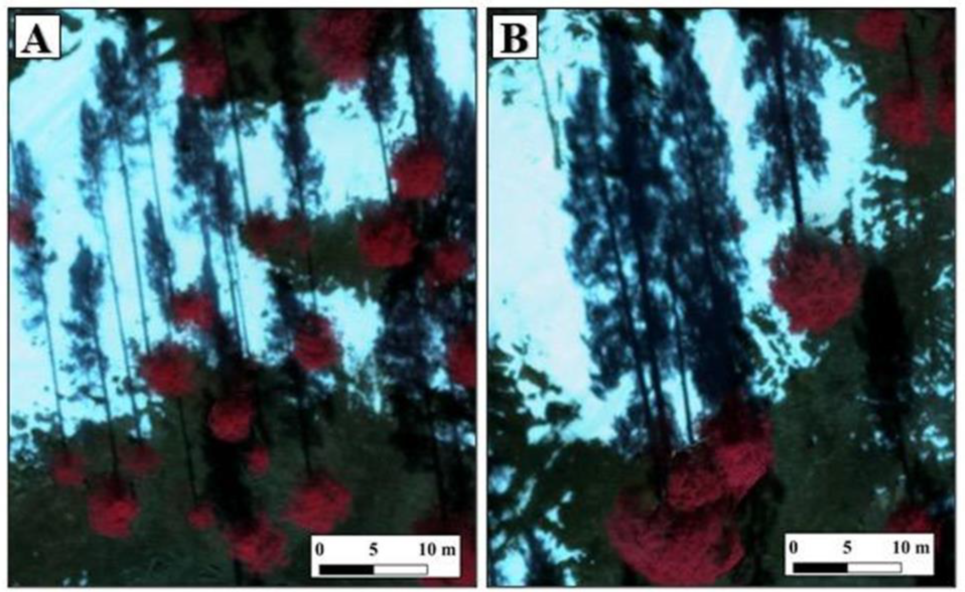 Remotesensing 13 01036 g009 Remotesensing 13 01036 g009