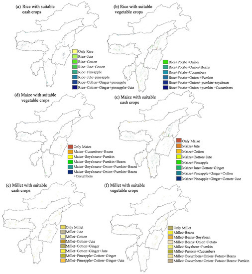 Automated Mapping for Long-Term Analysis of Shifting Cultivation in ...
