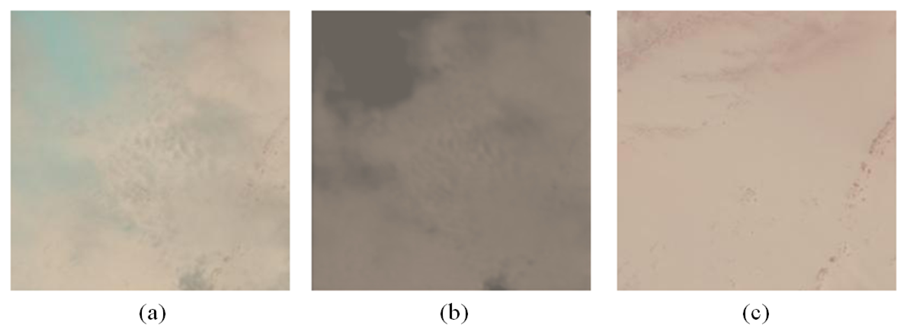 Remotesensing 13 01079 g015