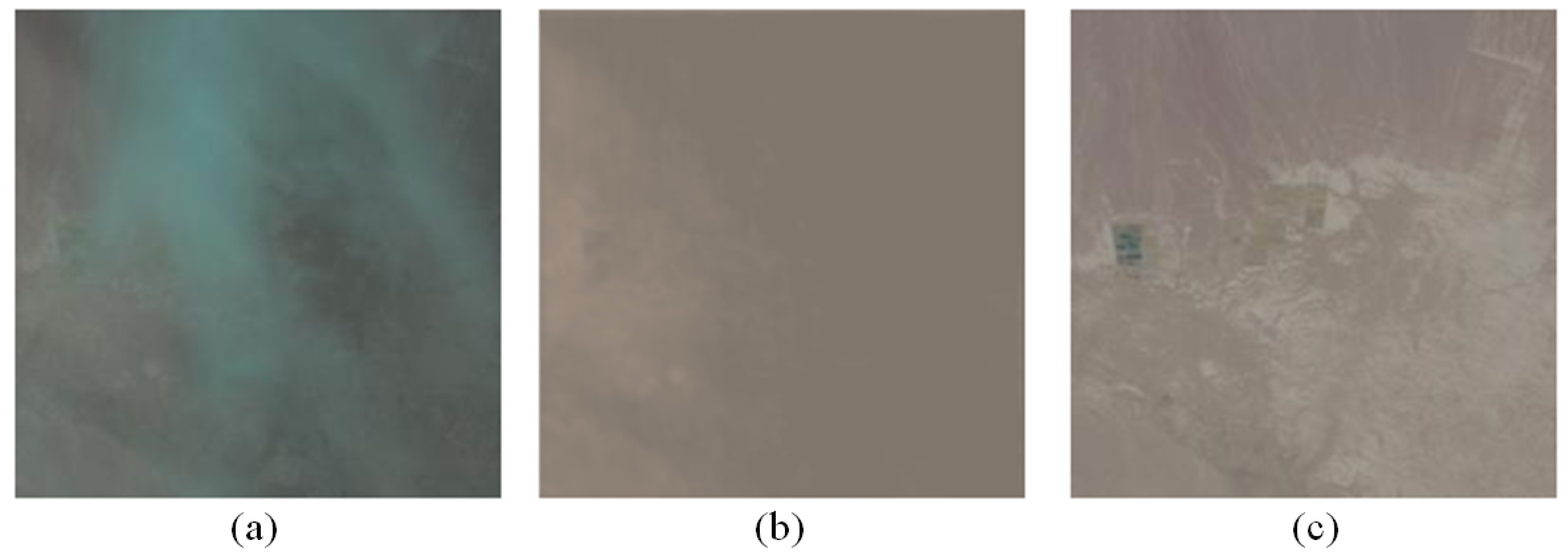 Remotesensing 13 01079 g016