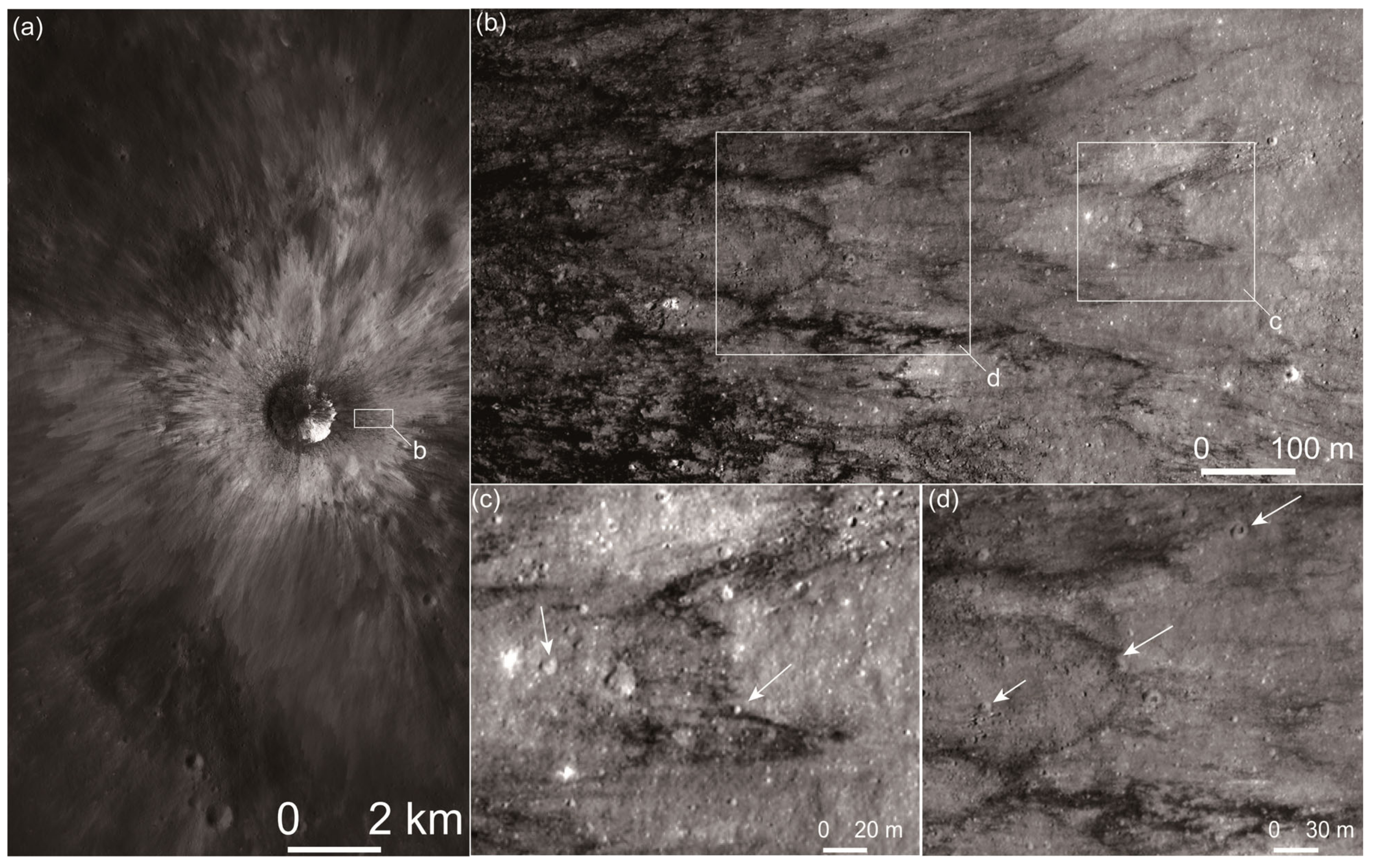 Remotesensing 13 01087 g001 Remotesensing 13 01087 g001