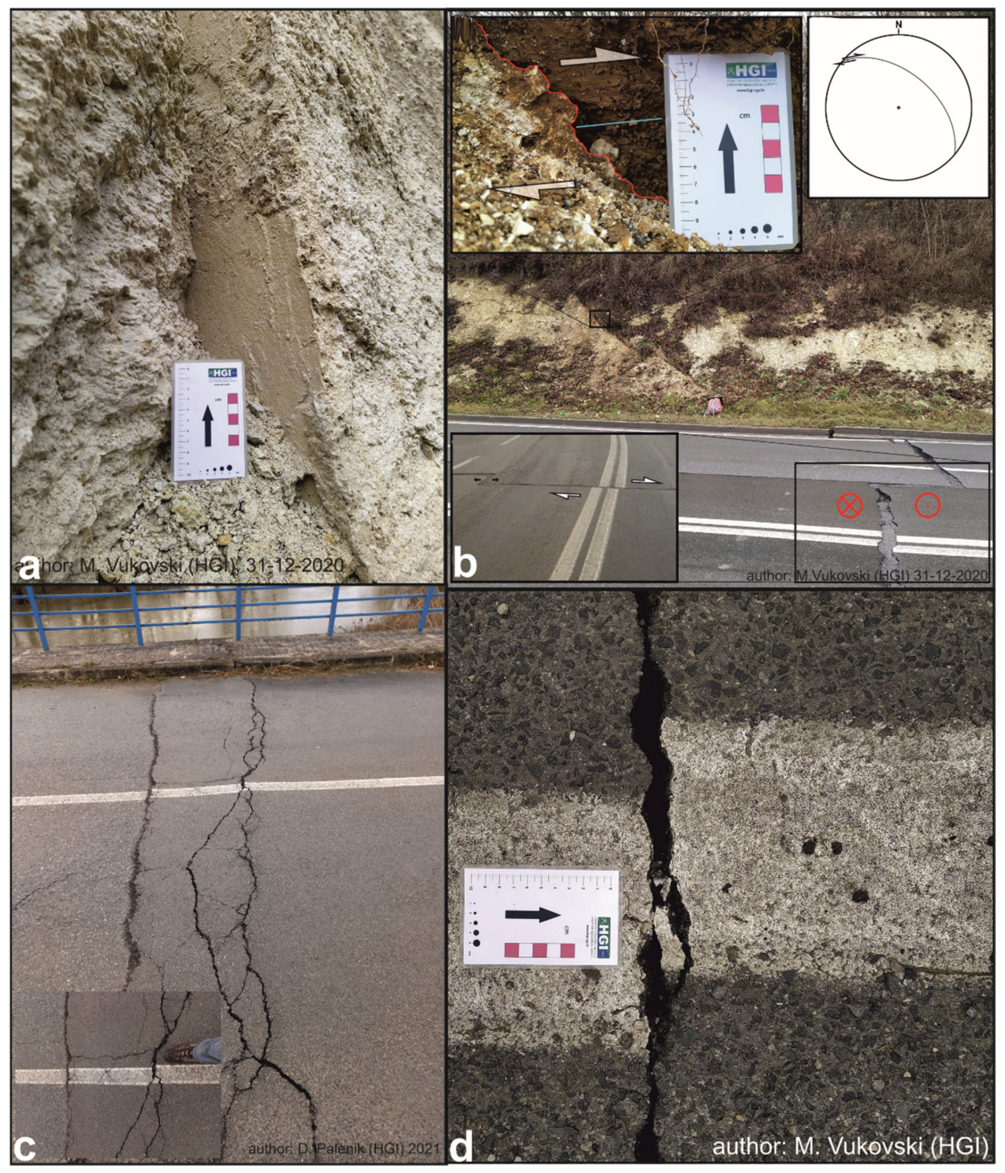 Remotesensing 13 01095 g006