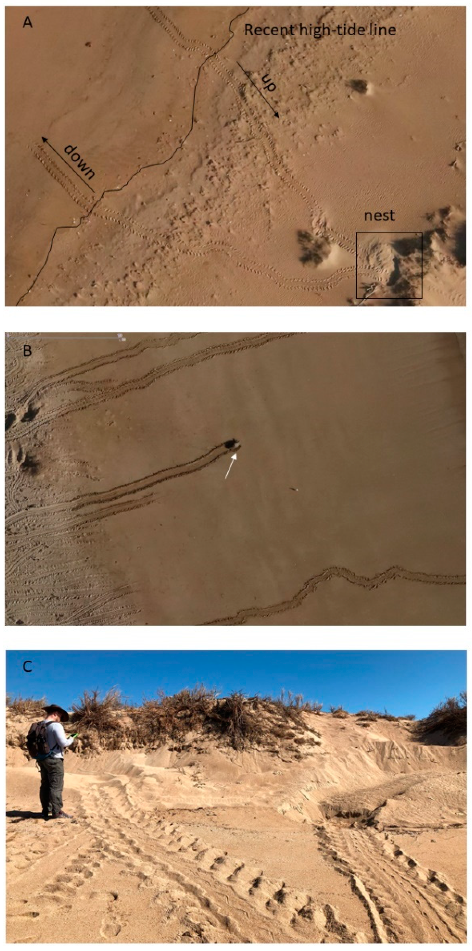 Remotesensing 13 01116 g002 Remotesensing 13 01116 g002