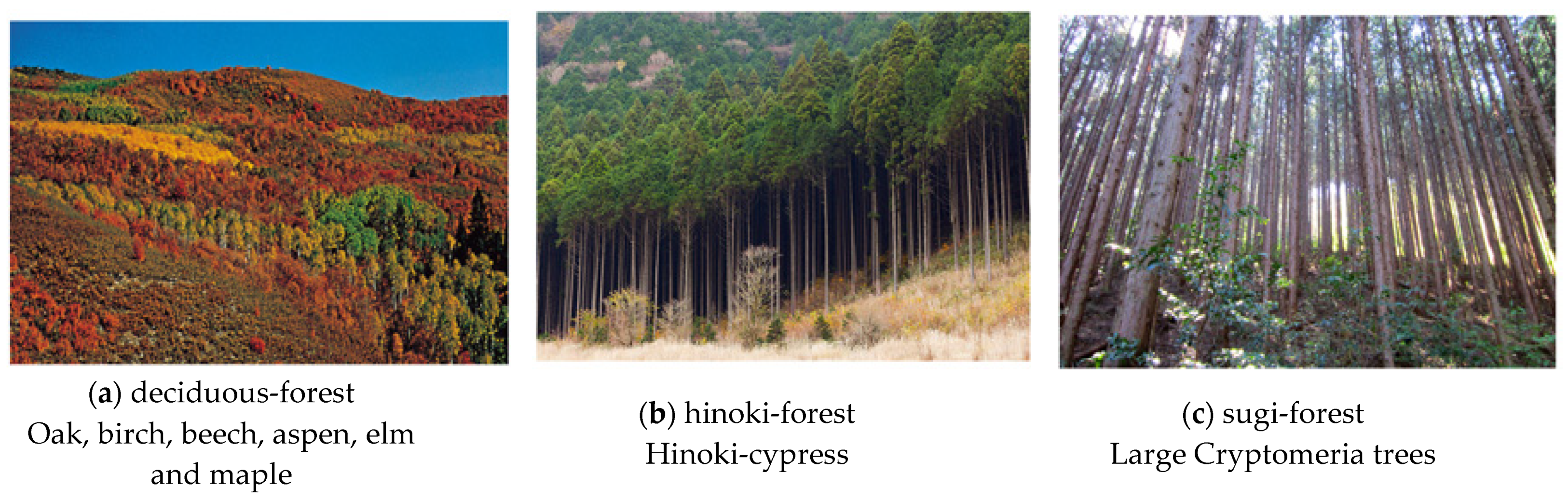 Remotesensing 13 01123 g005