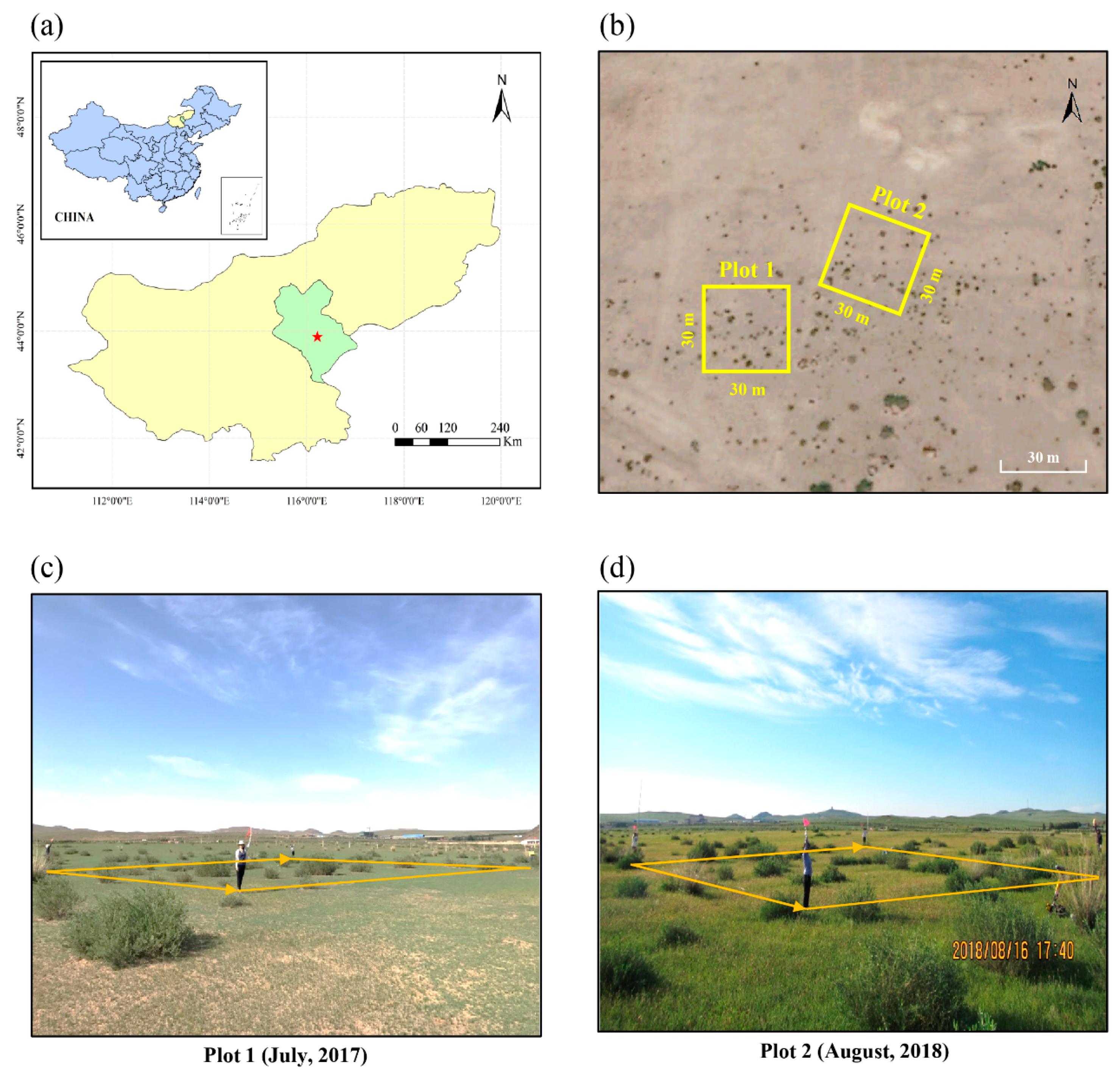 Remotesensing 13 01137 g001 Remotesensing 13 01137 g001