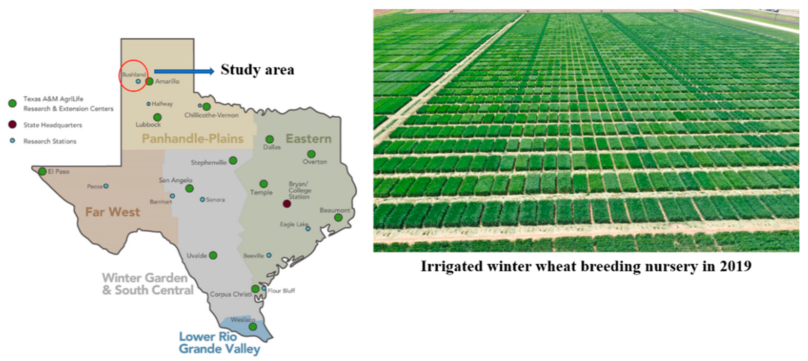 Remote Sensing | Free Full-Text | Assessing the Effect of Drought 