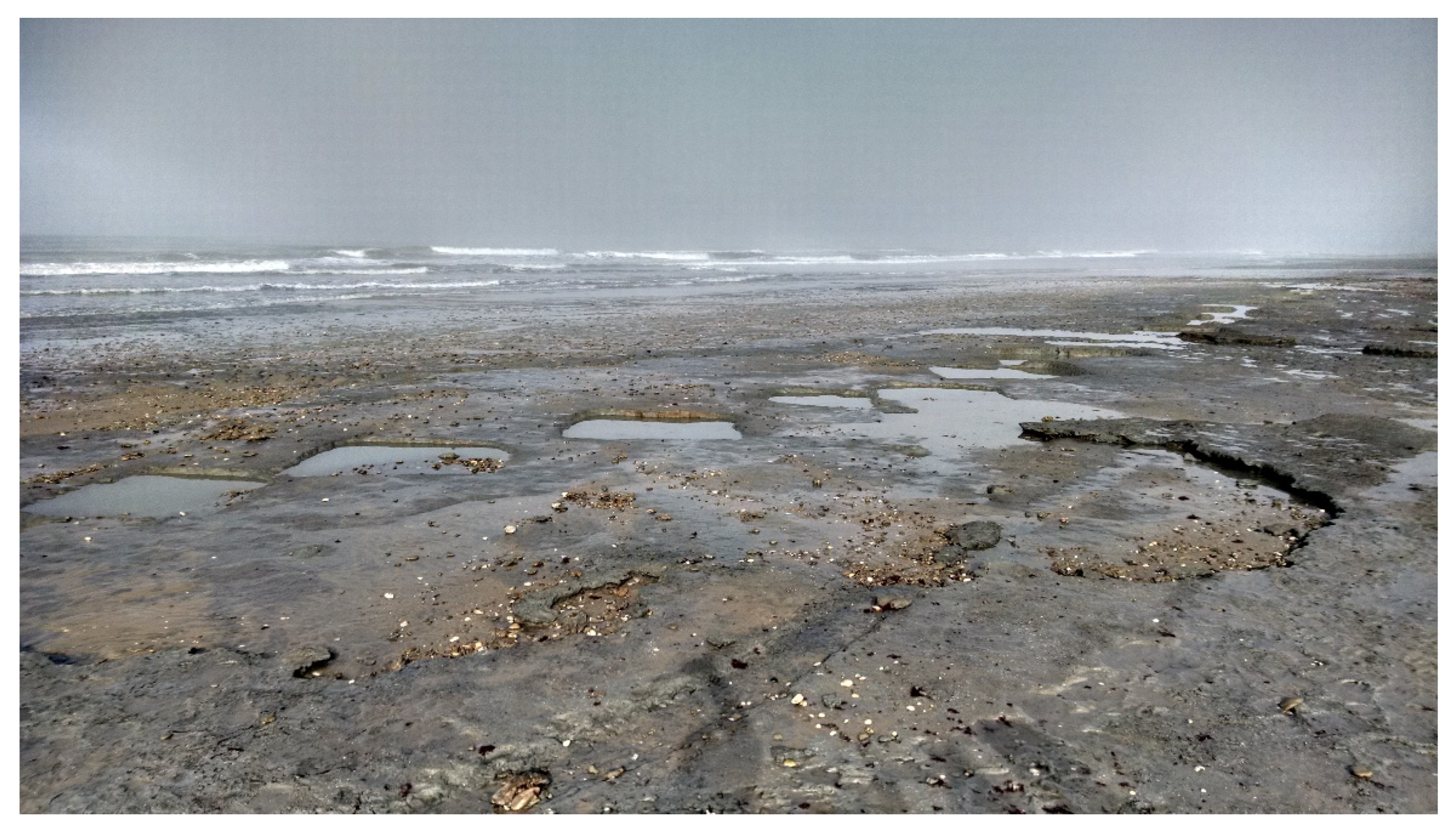 Remotesensing 13 01188 g004