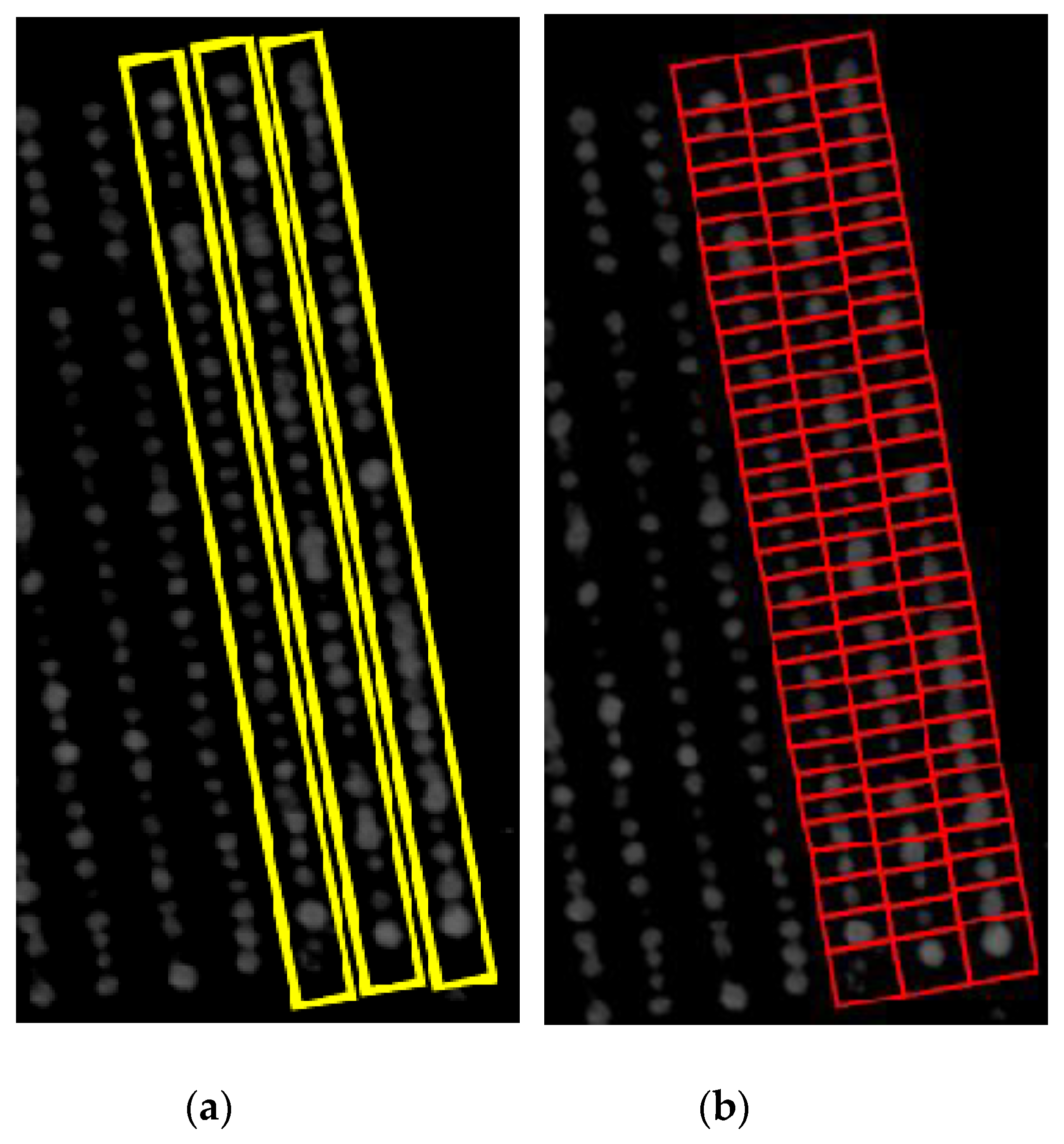 Remotesensing 13 01212 g002 Remotesensing 13 01212 g002