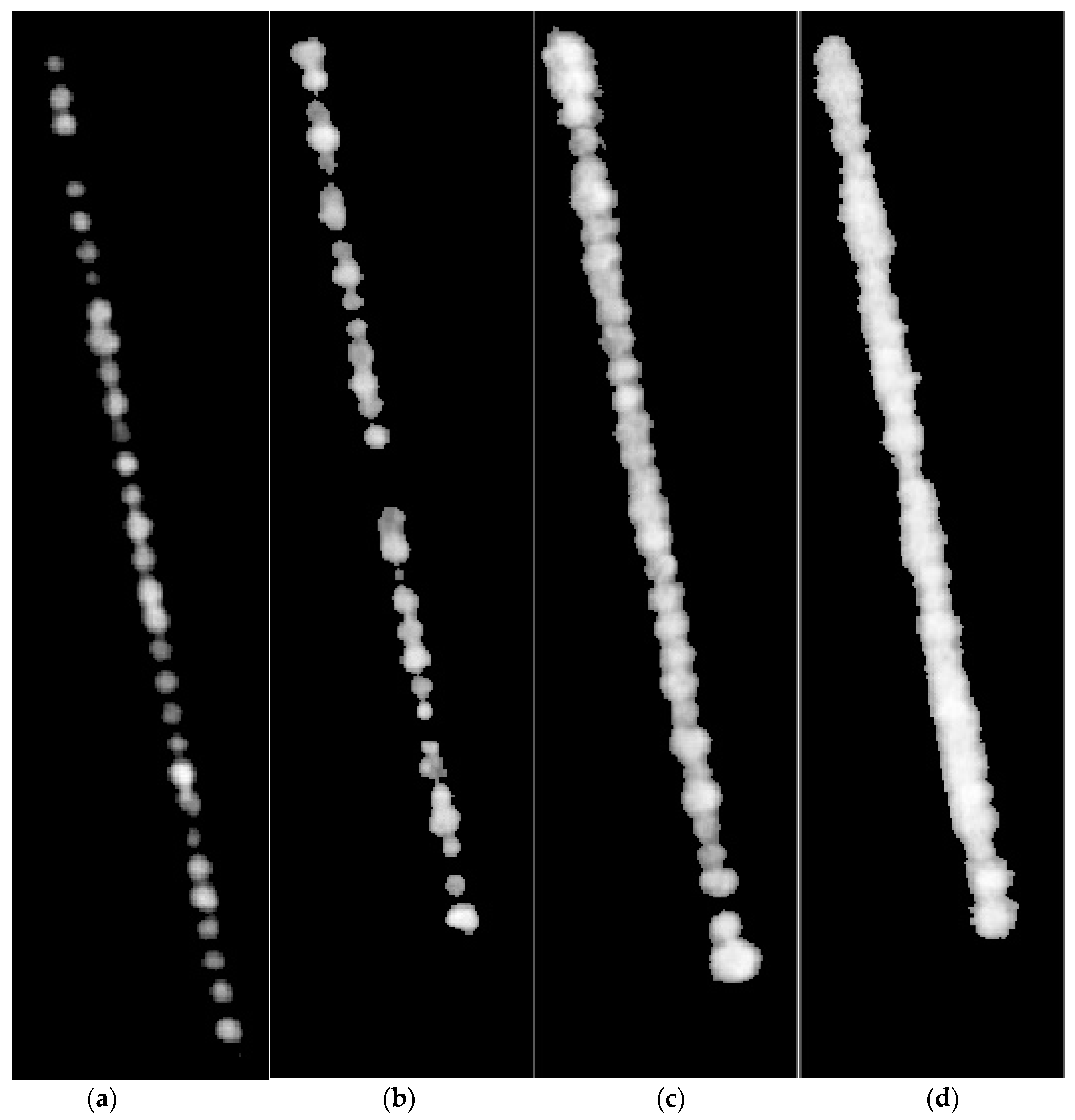 Remotesensing 13 01212 g006 Remotesensing 13 01212 g006