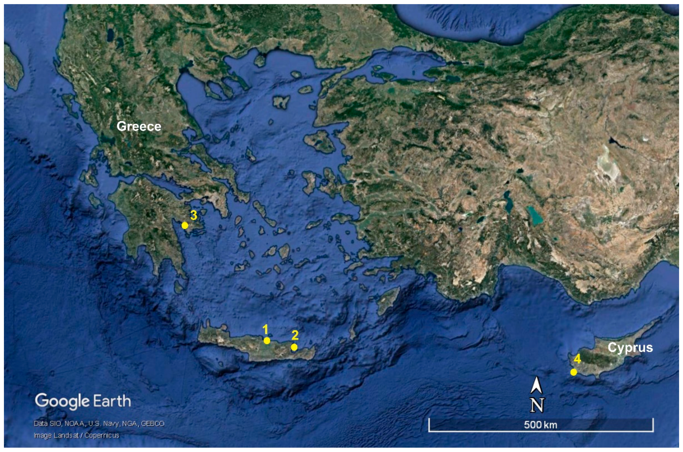 Remotesensing 13 01237 g001