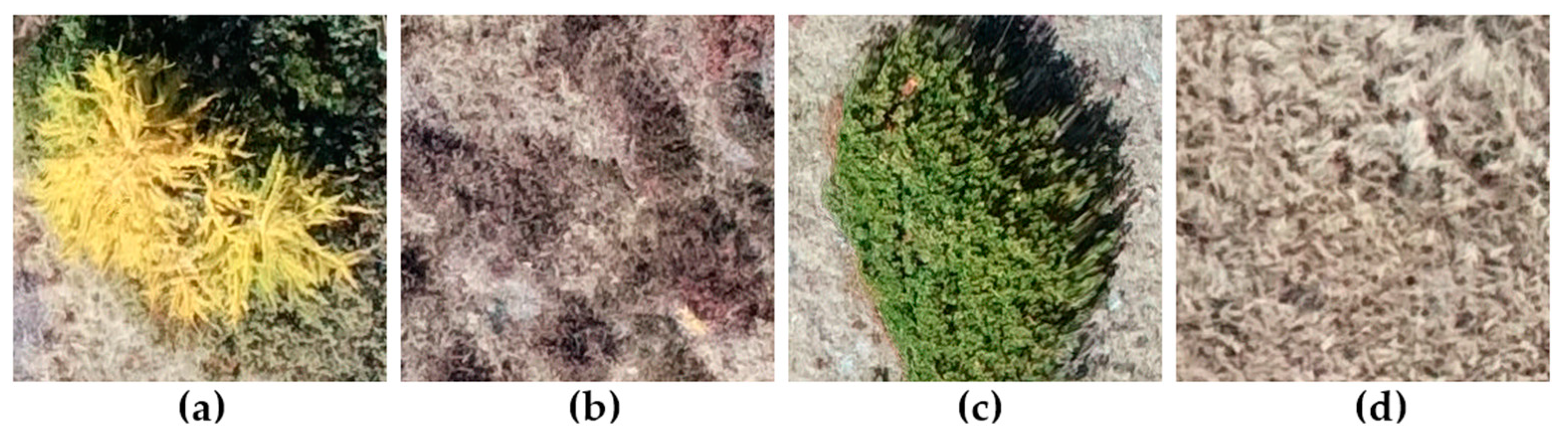 Remotesensing 13 01239 g002 Remotesensing 13 01239 g002