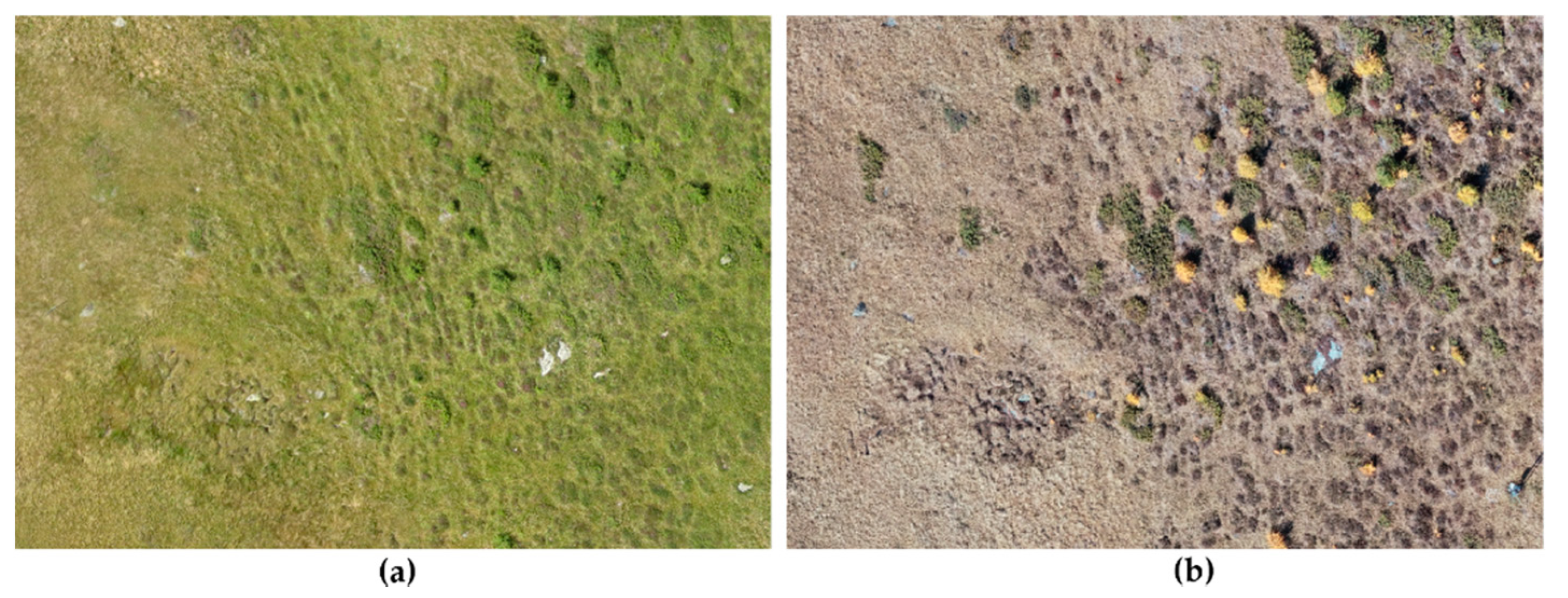 Remotesensing 13 01239 g003 Remotesensing 13 01239 g003