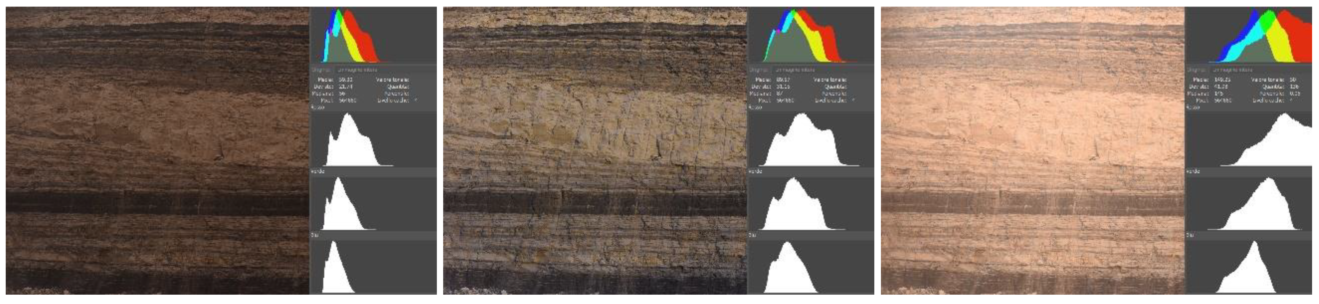 Remotesensing 13 01261 g002
