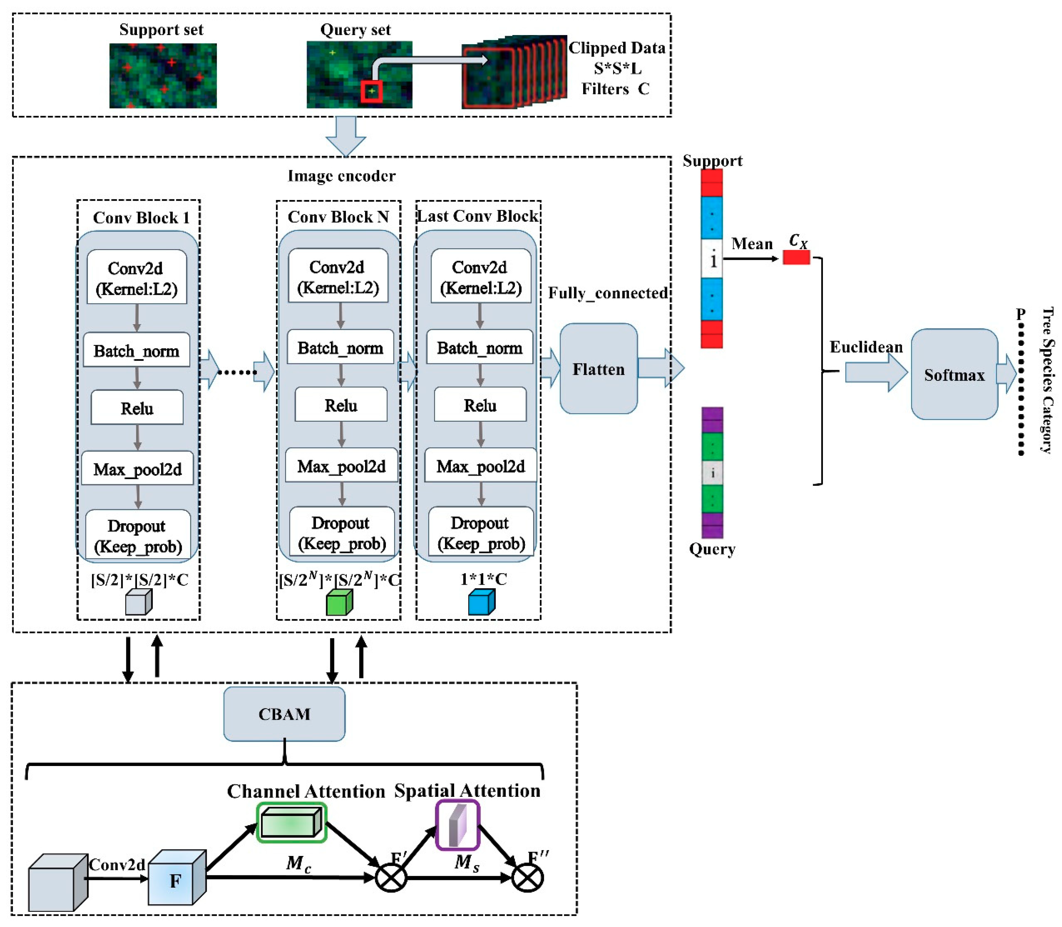 A New CBAM-P-Net Model for Few-Shot Forest Species