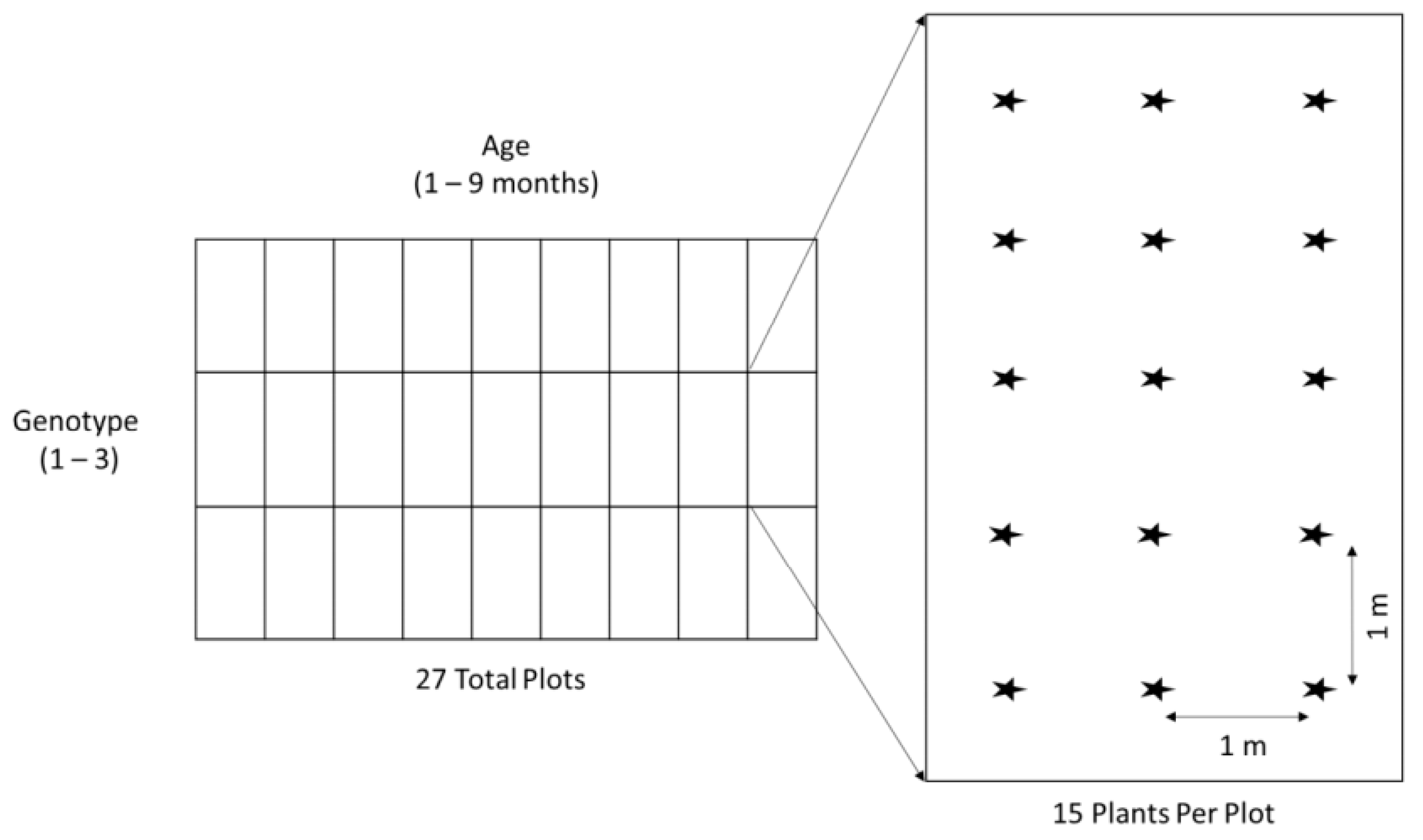 Remotesensing 13 01272 g002