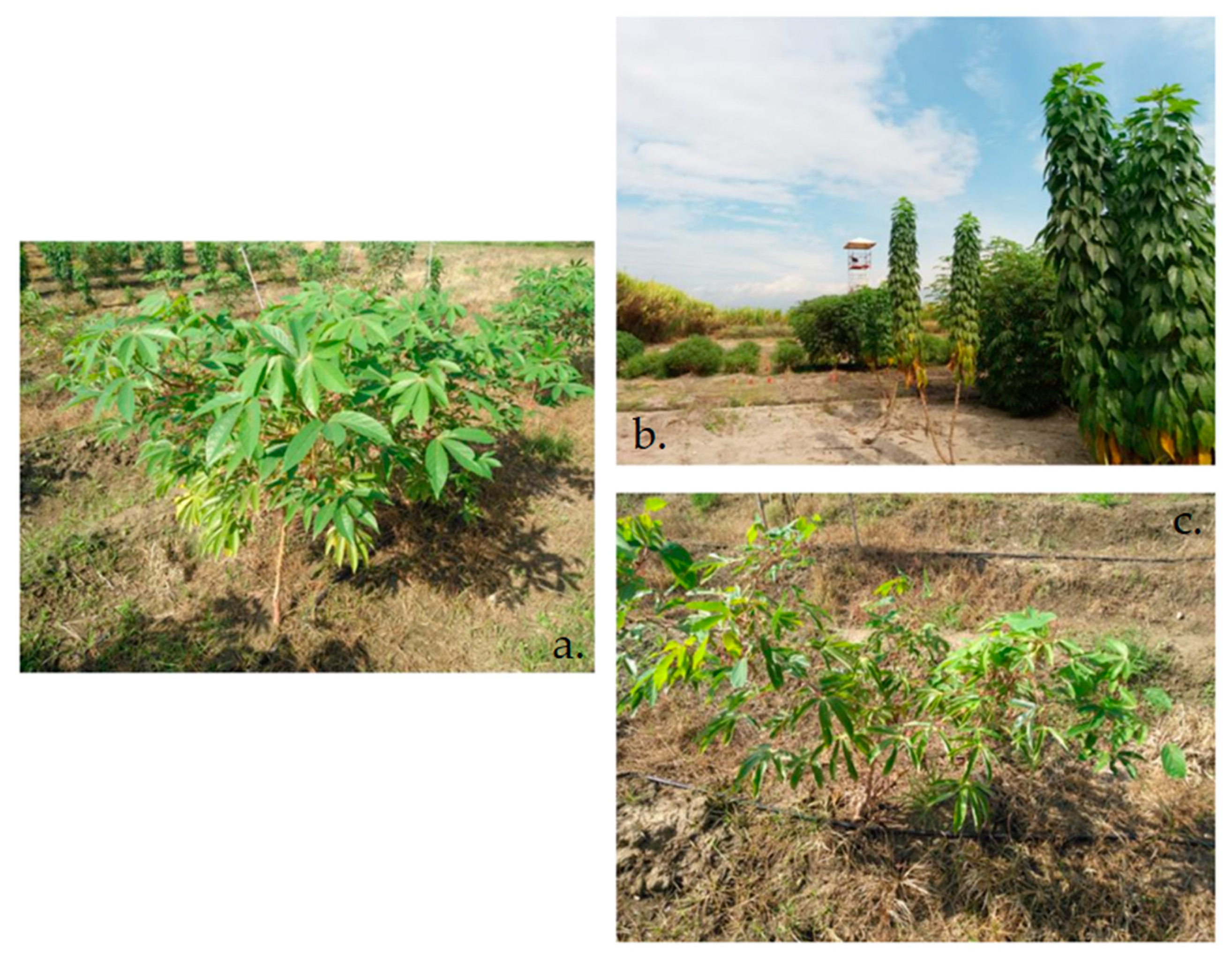 Remotesensing 13 01272 g003