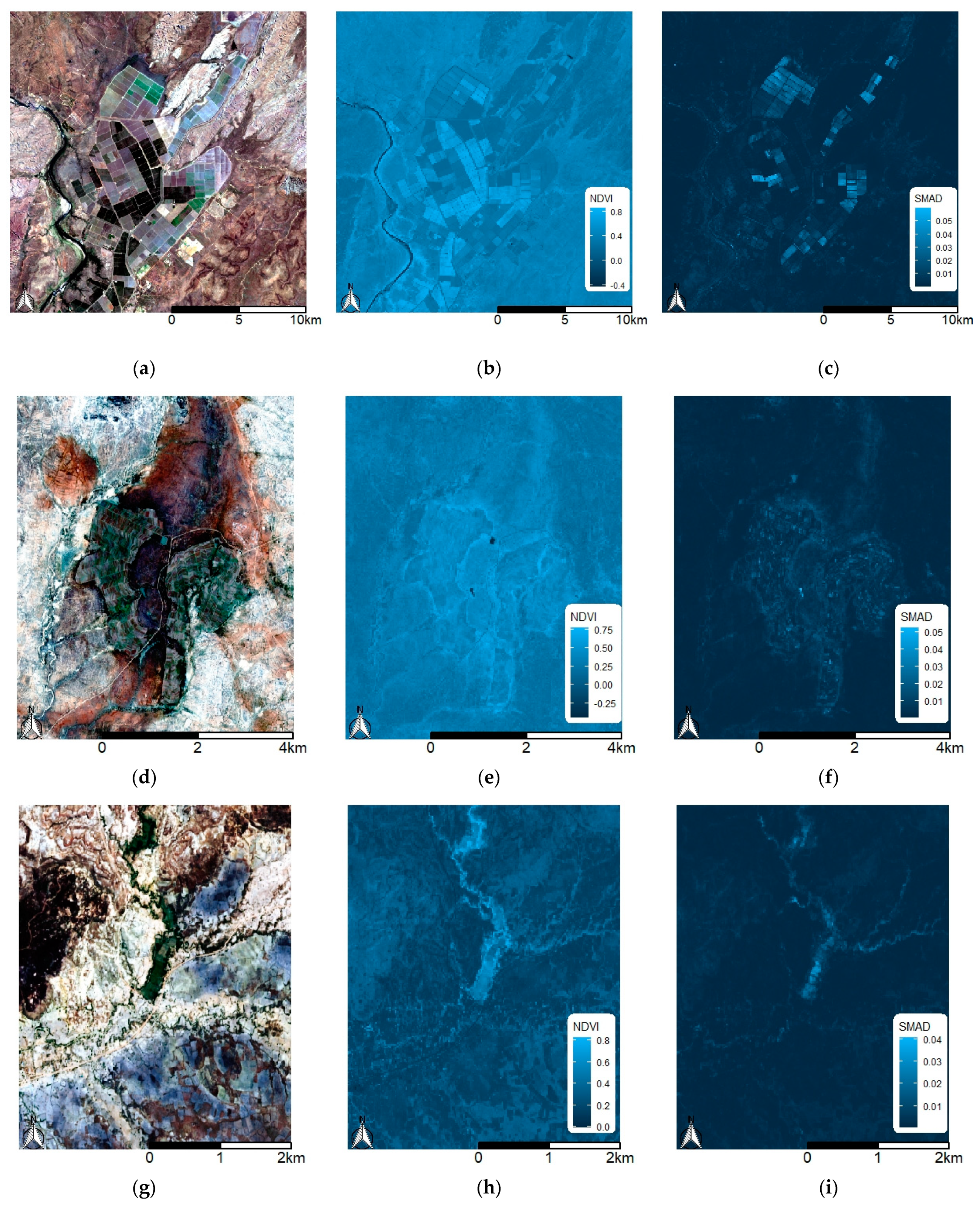 Remotesensing 13 01300 g002a