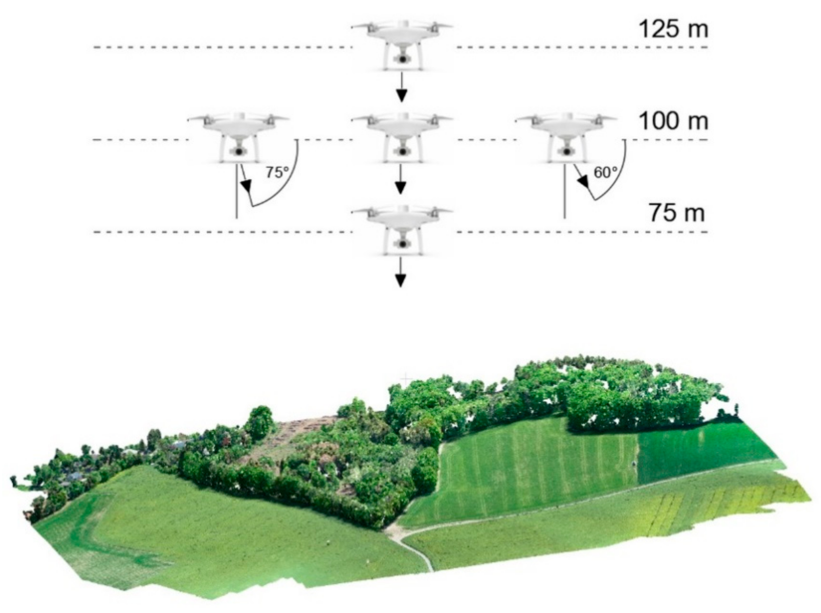 Remotesensing 13 01336 g003 Remotesensing 13 01336 g003