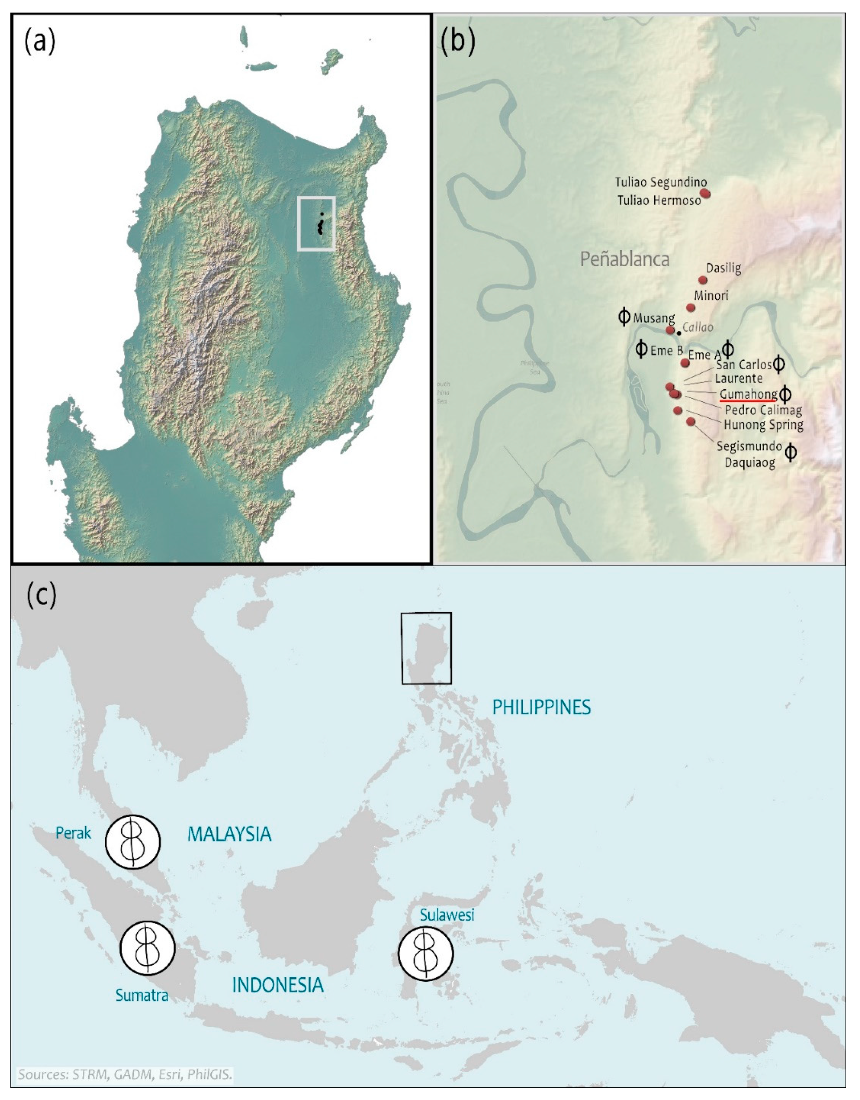 Remotesensing 13 01357 g006