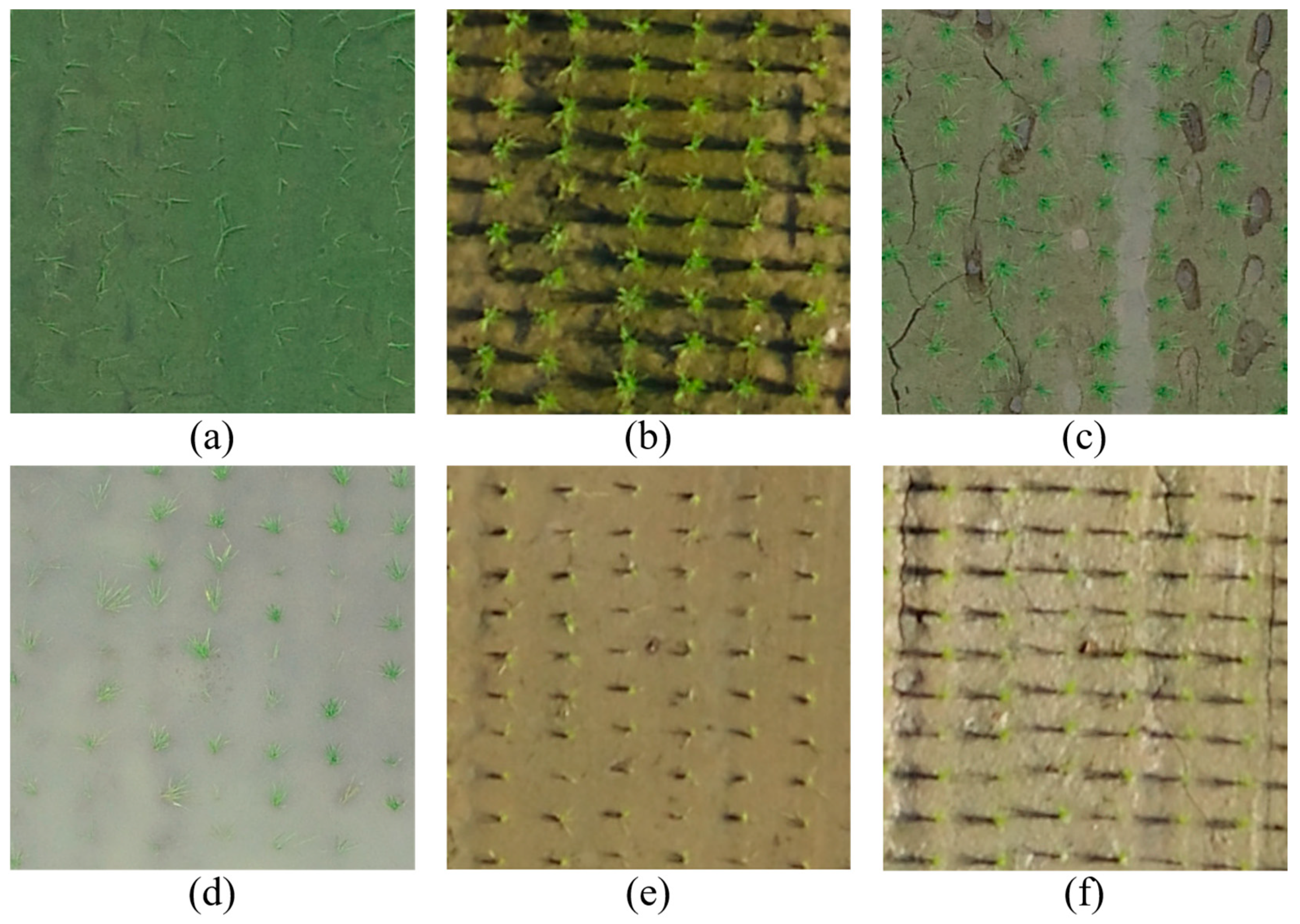 Remotesensing 13 01358 g003 Remotesensing 13 01358 g003