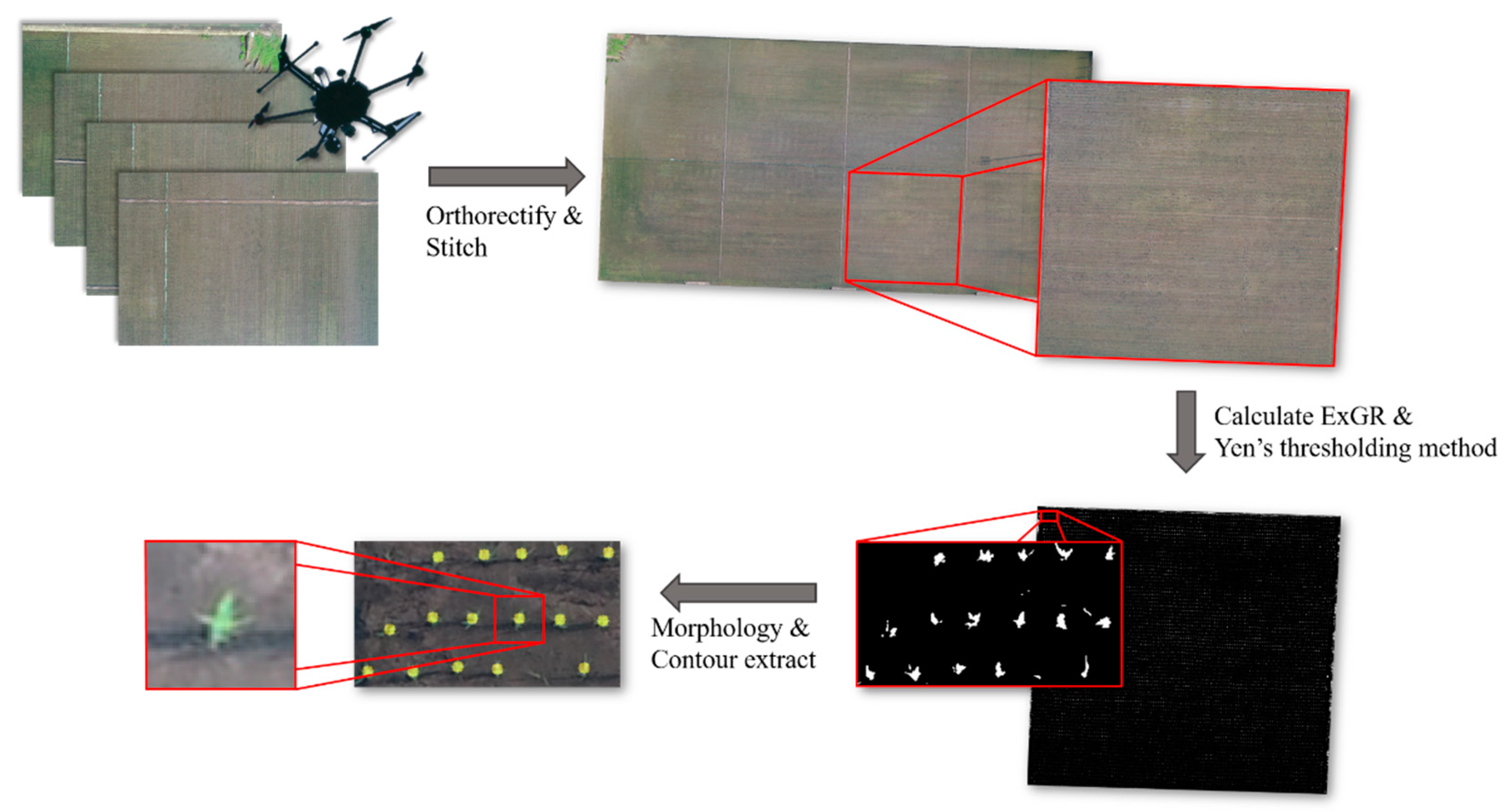 Remotesensing 13 01358 g004 Remotesensing 13 01358 g004