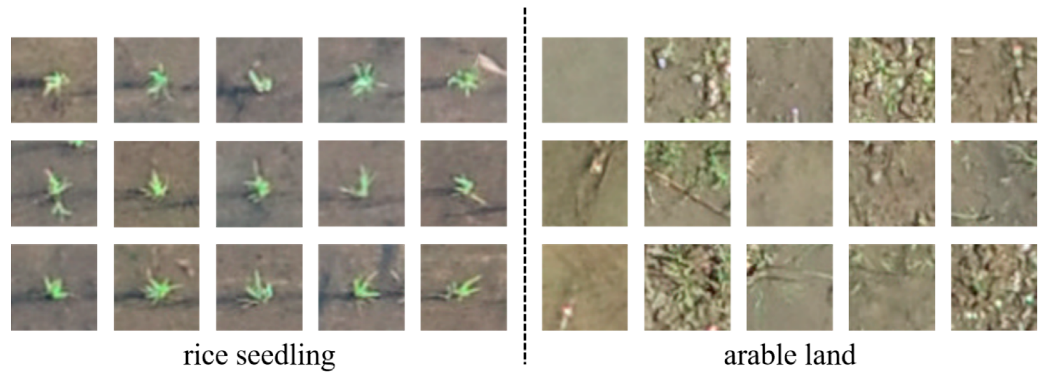 Remotesensing 13 01358 g005 Remotesensing 13 01358 g005