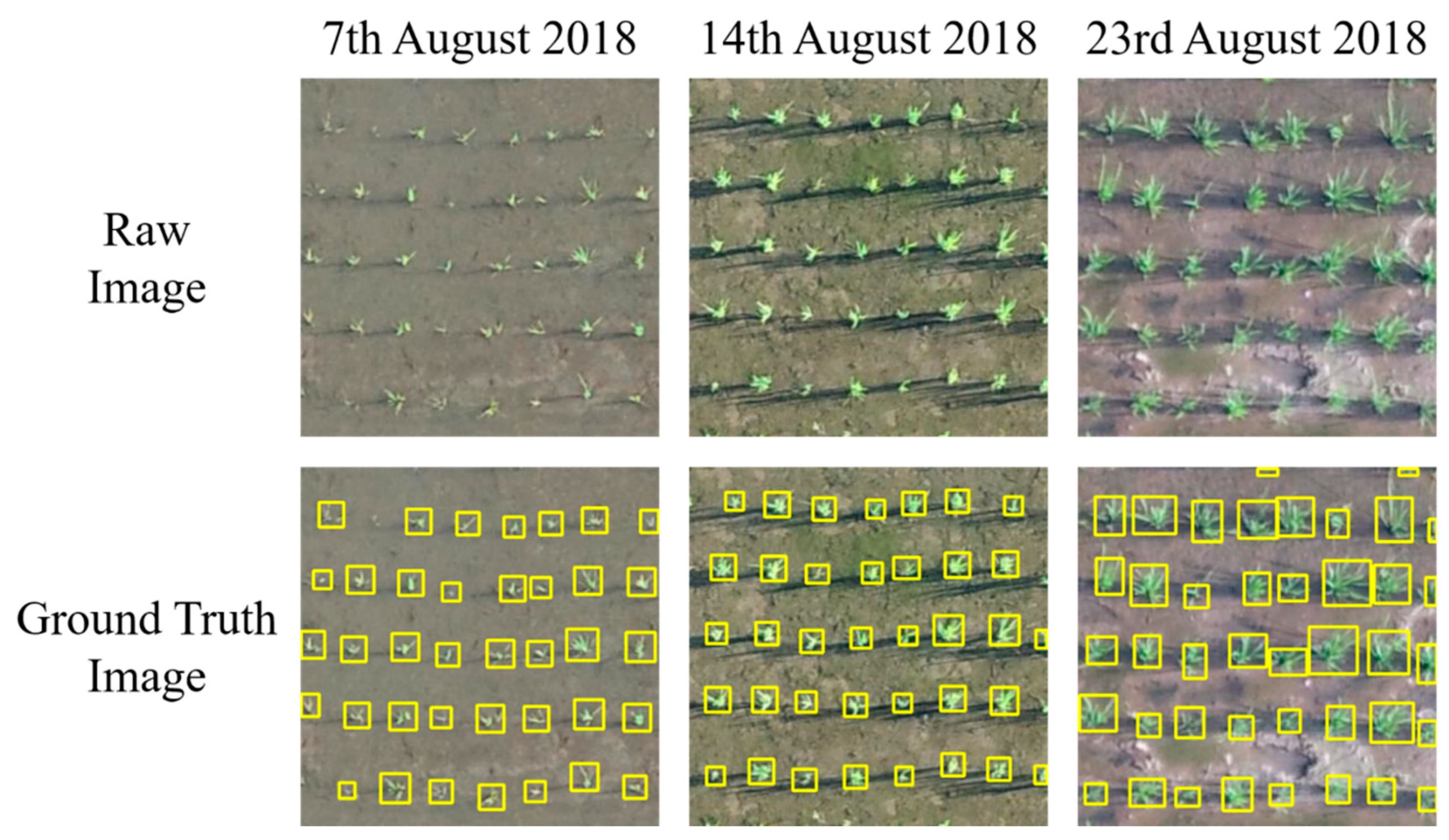 Remotesensing 13 01358 g006 Remotesensing 13 01358 g006