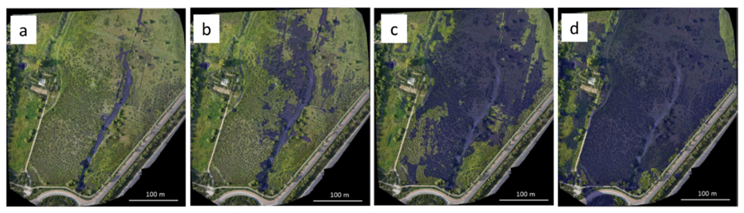 Remotesensing 13 01359 g004 Remotesensing 13 01359 g004