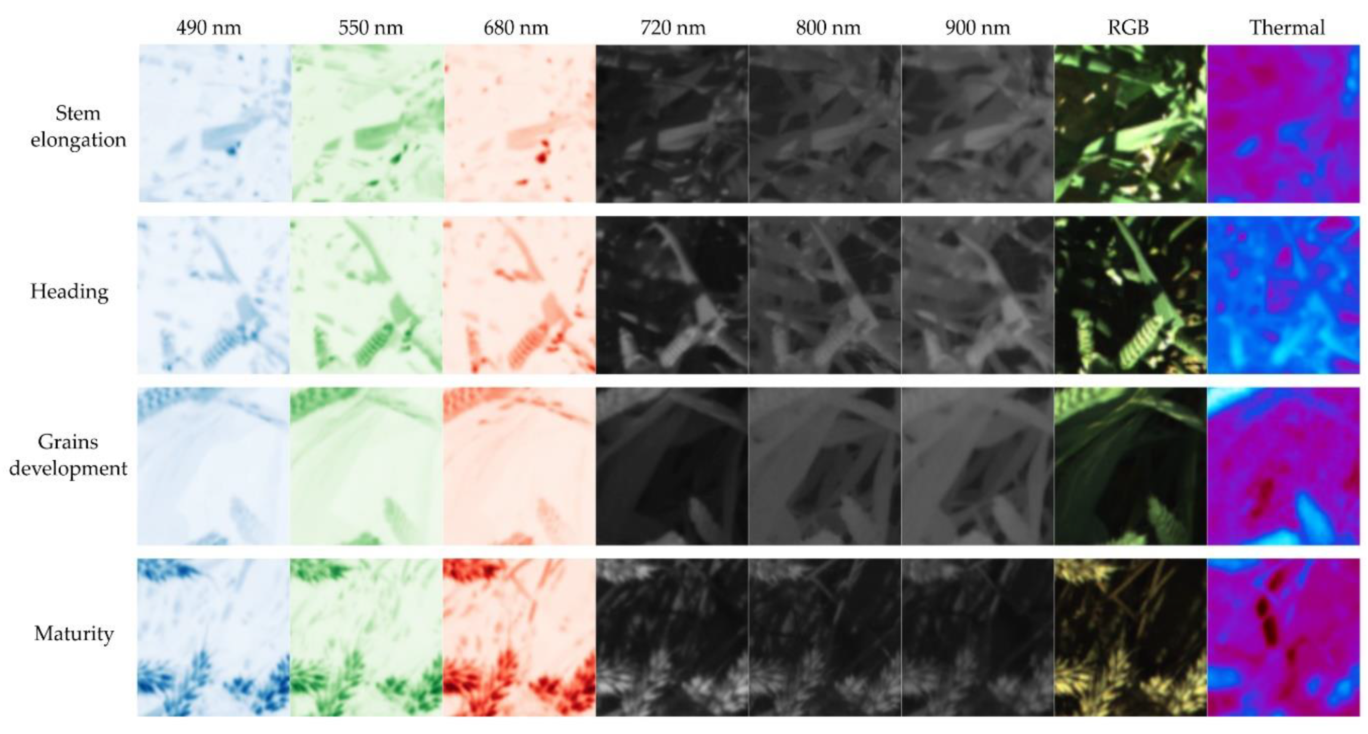 Remotesensing 13 01380 g009 Remotesensing 13 01380 g009