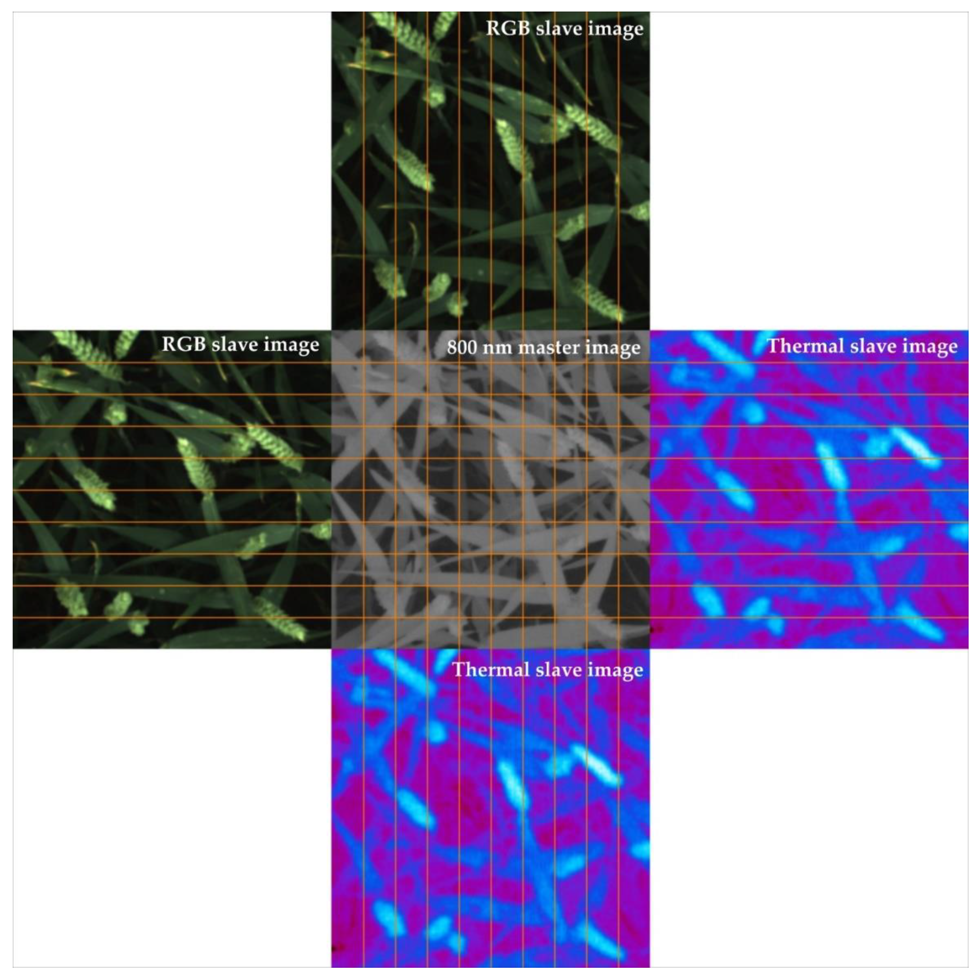 Remotesensing 13 01380 g014 Remotesensing 13 01380 g014