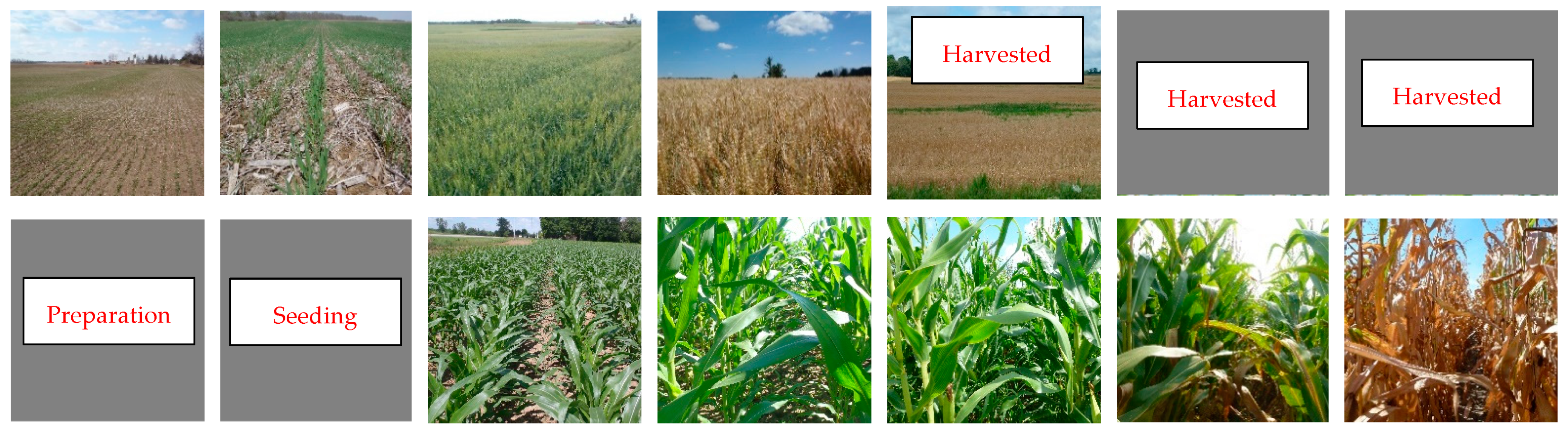 Remotesensing 13 01394 g002a Remotesensing 13 01394 g002a