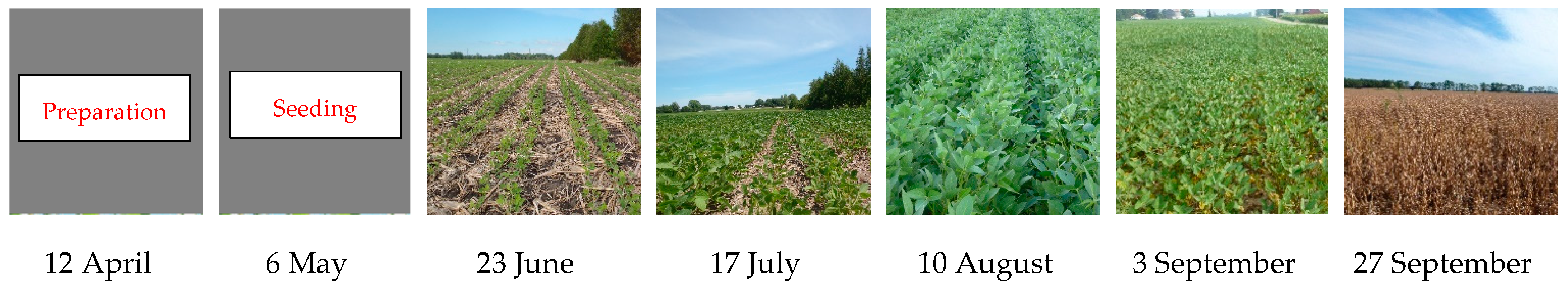 Remotesensing 13 01394 g002b Remotesensing 13 01394 g002b