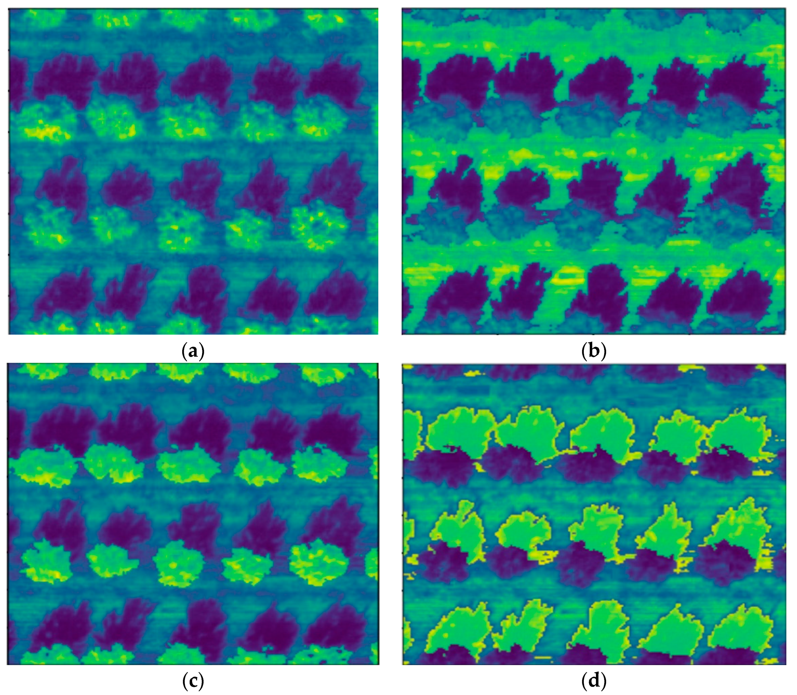 Remotesensing 13 01411 g010