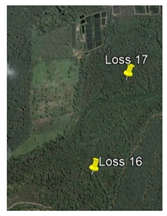 Remotesensing 13 01427 i017 Remotesensing 13 01427 i017