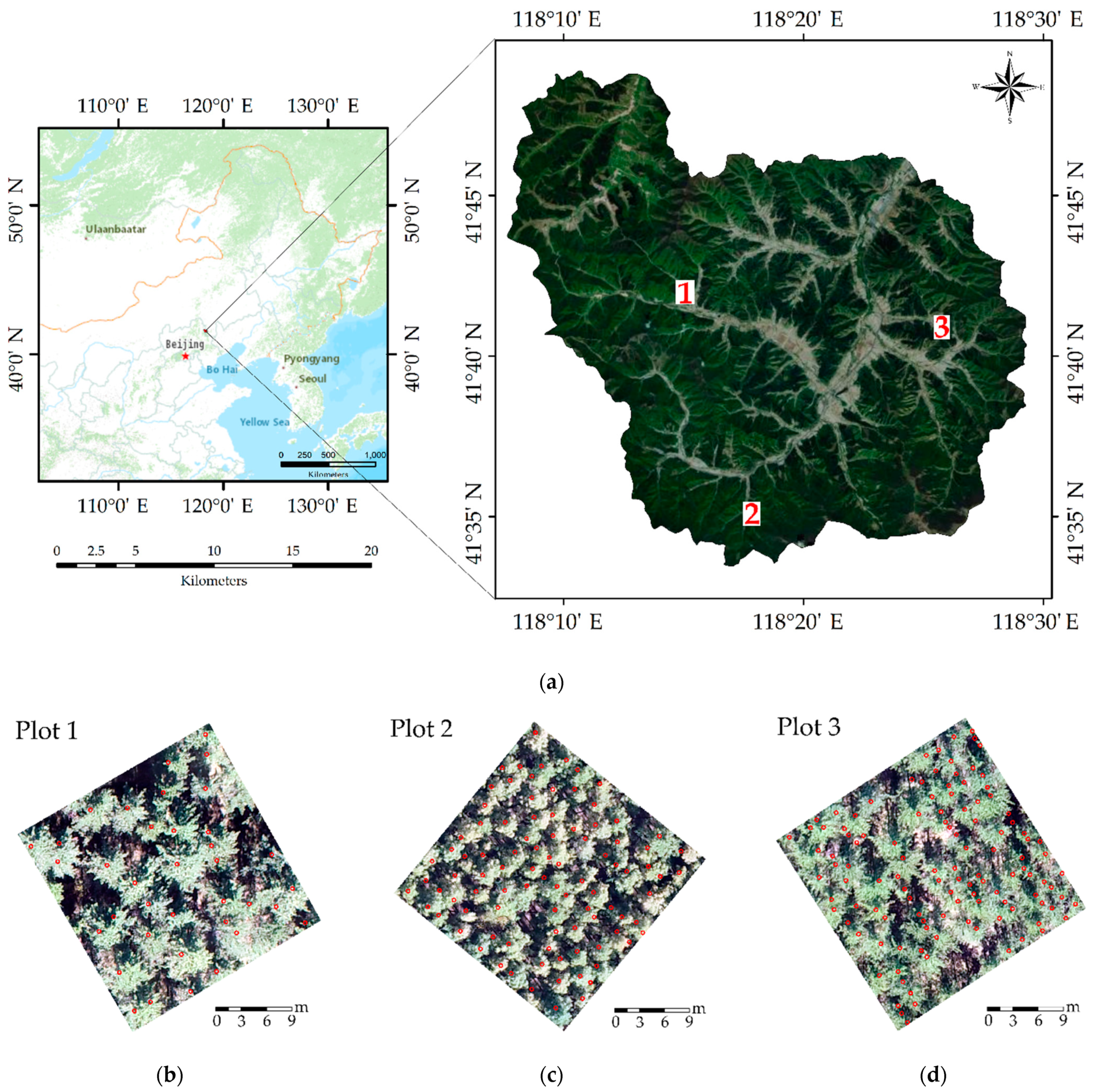 Remotesensing 13 01442 g002 Remotesensing 13 01442 g002