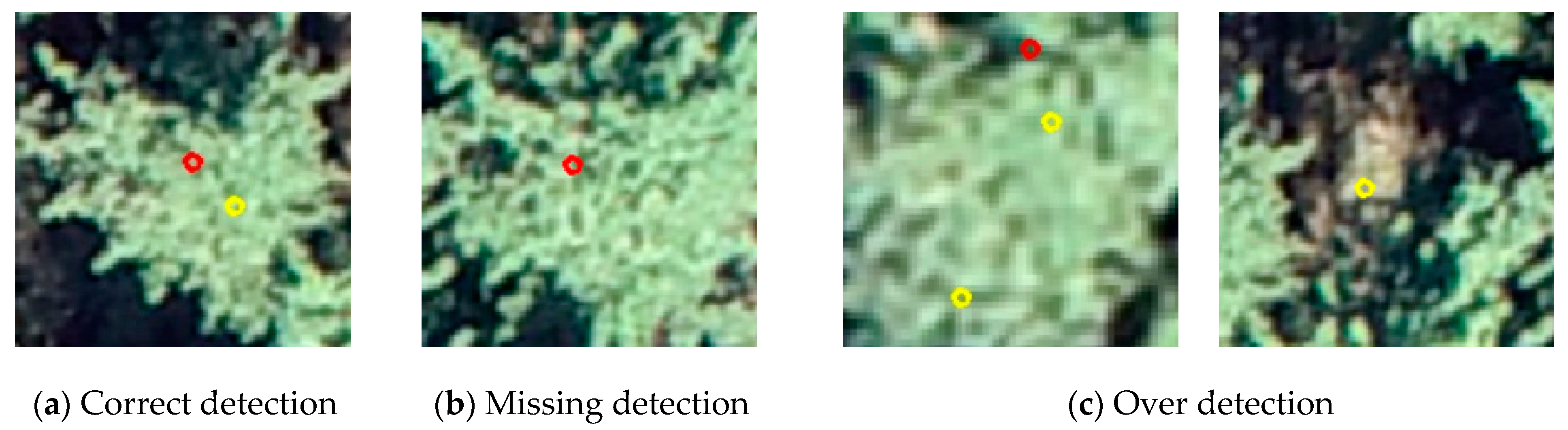 Remotesensing 13 01442 g004 Remotesensing 13 01442 g004