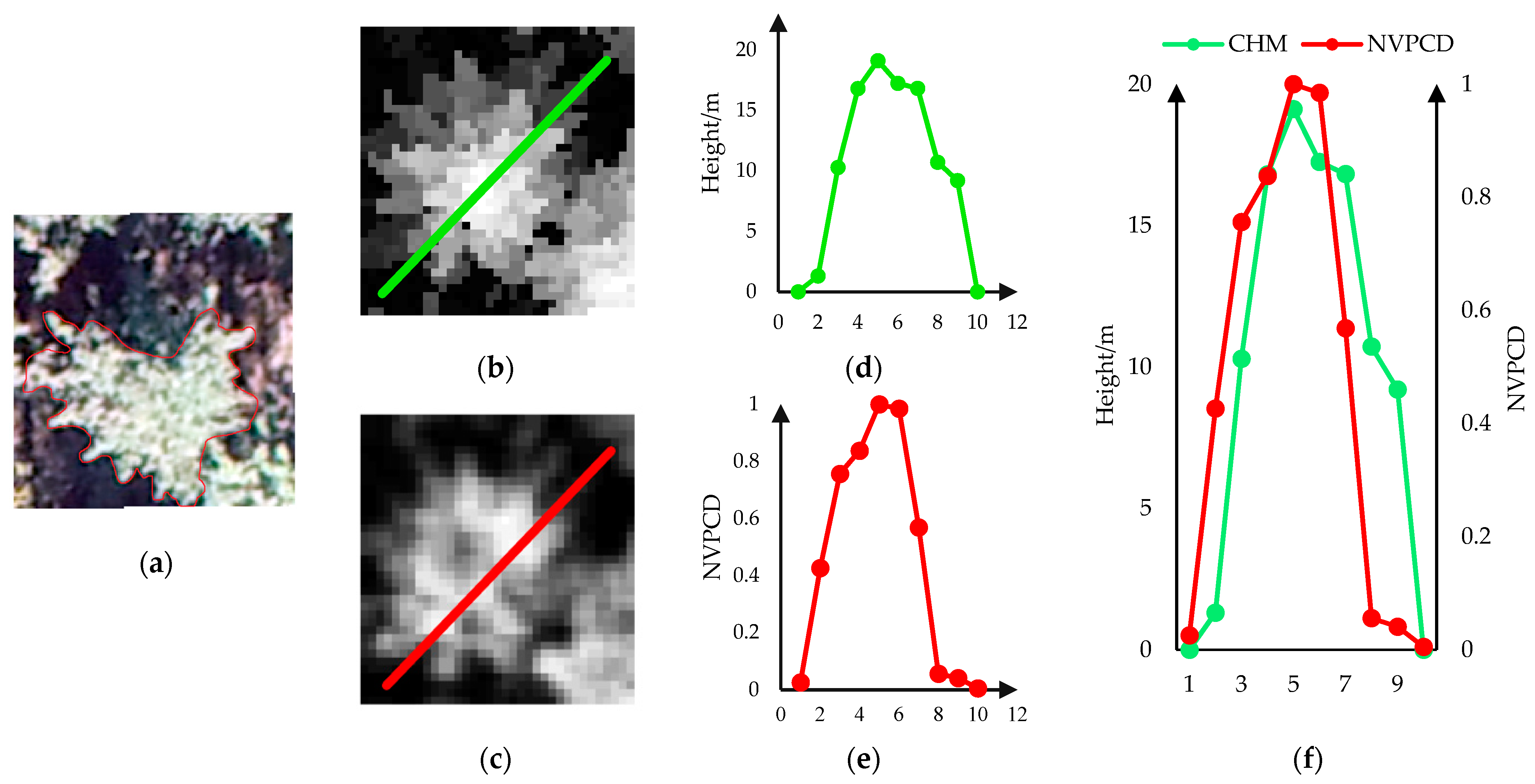 Remotesensing 13 01442 g008 Remotesensing 13 01442 g008
