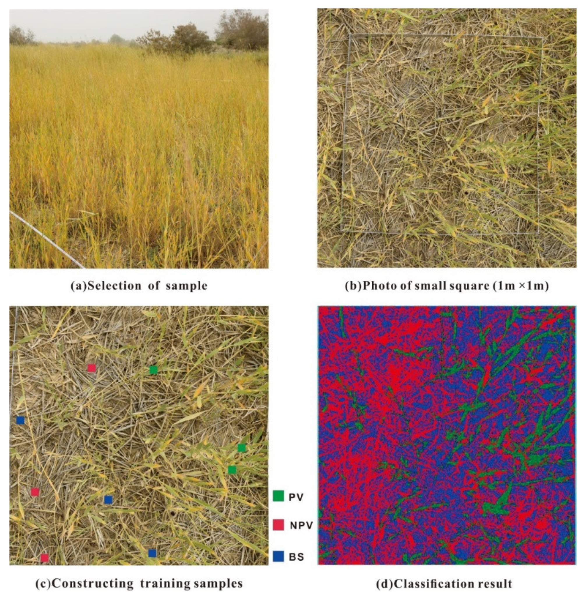 Remotesensing 13 01458 g002 Remotesensing 13 01458 g002