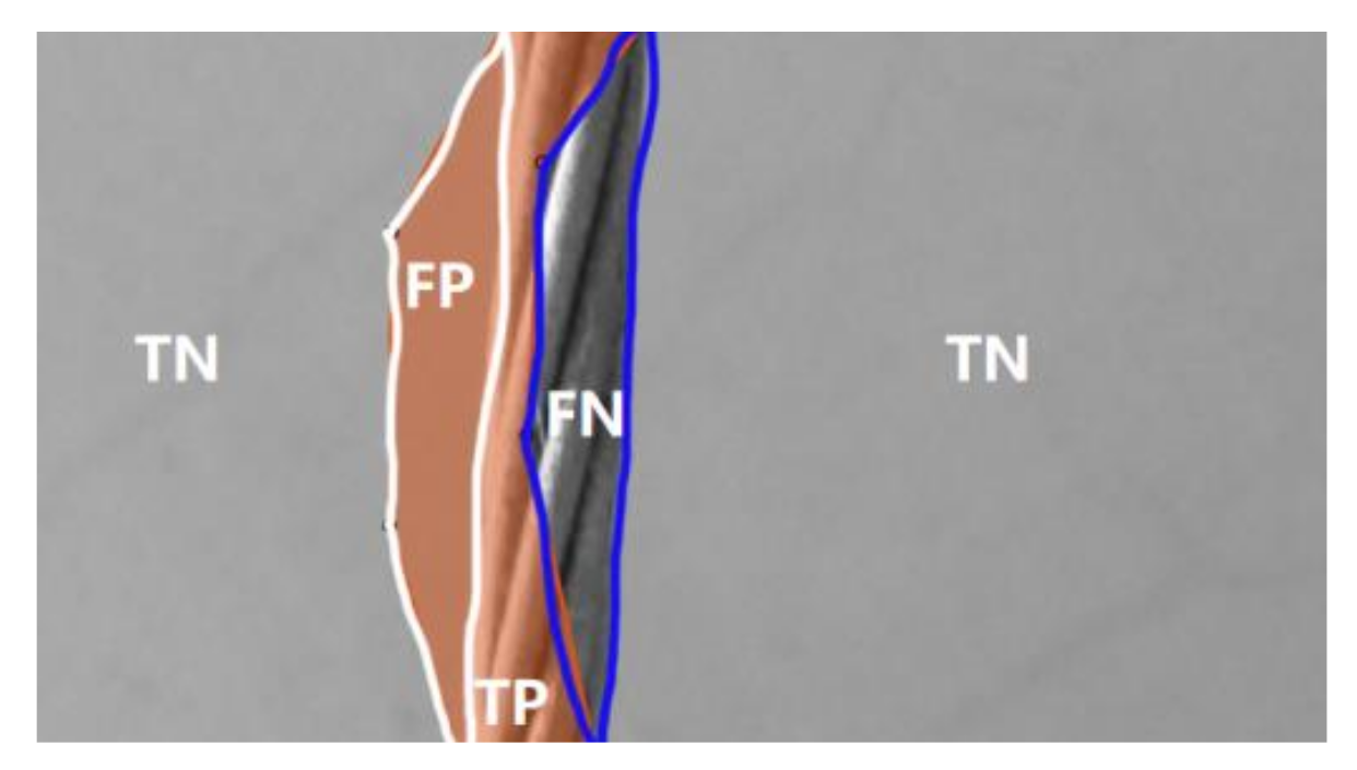 Remotesensing 13 01466 g011