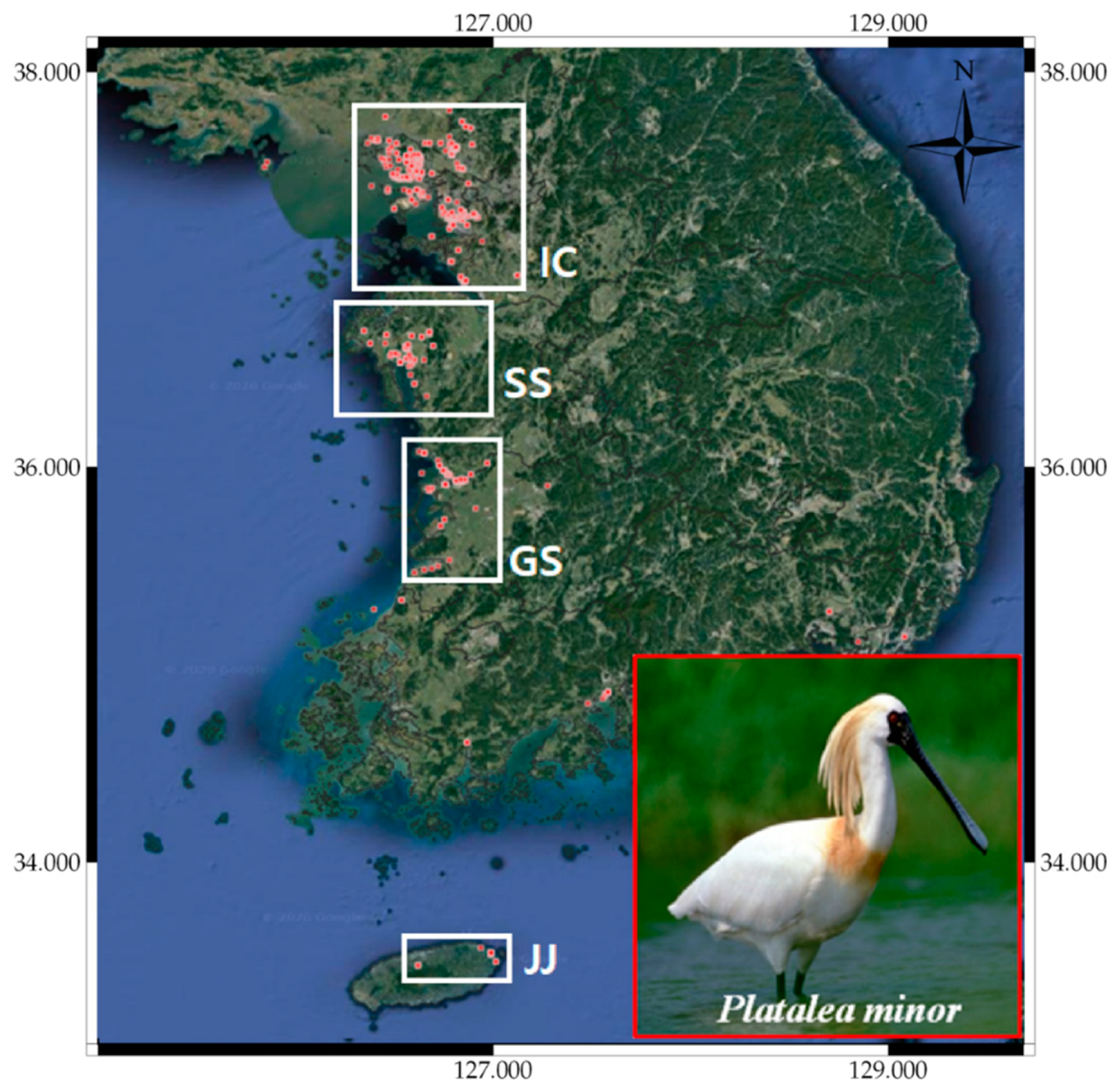 Remotesensing 13 01495 g008 Remotesensing 13 01495 g008