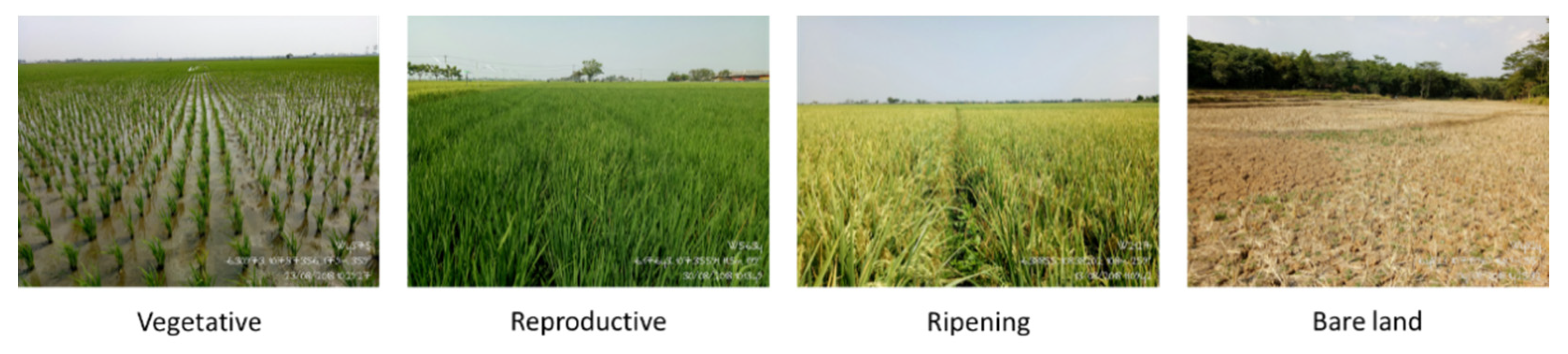 Remotesensing 13 01498 g005