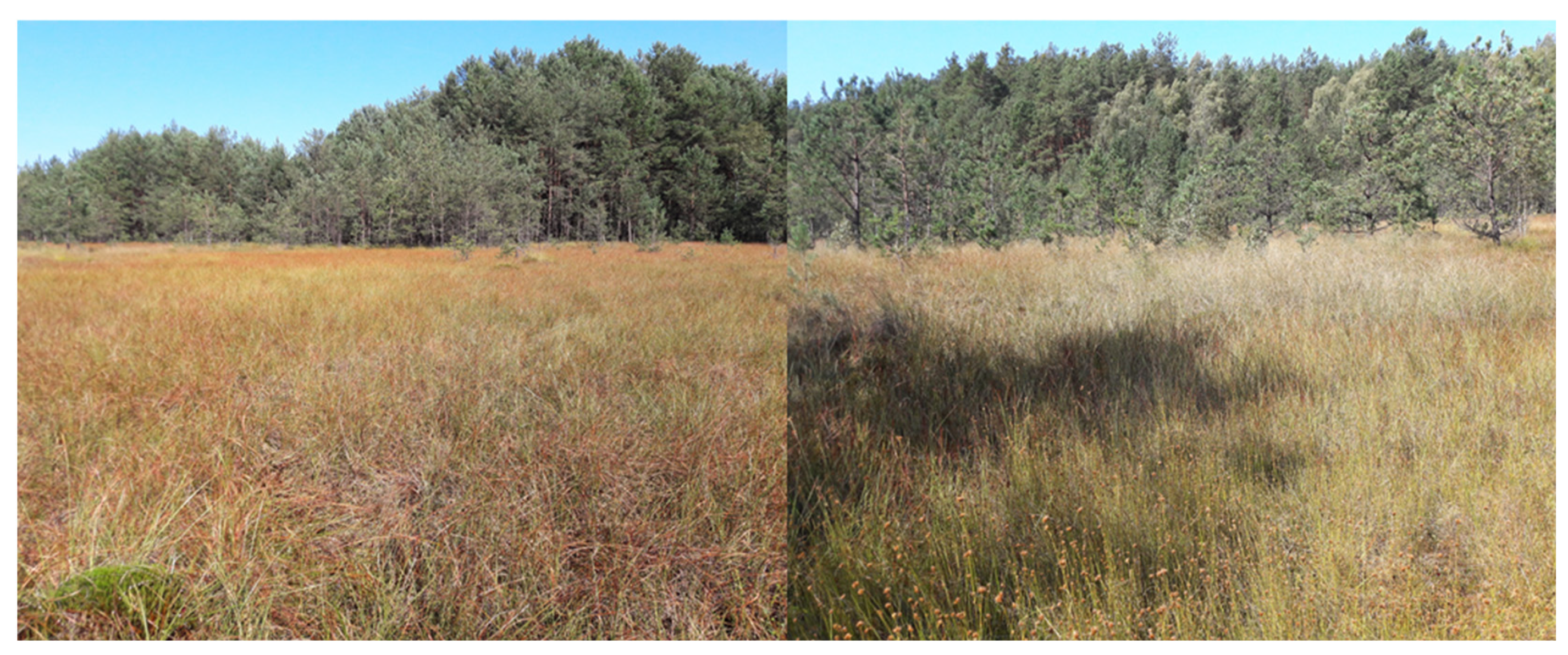 Remotesensing 13 01504 g015 Remotesensing 13 01504 g015