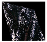 Remotesensing 13 01506 i002