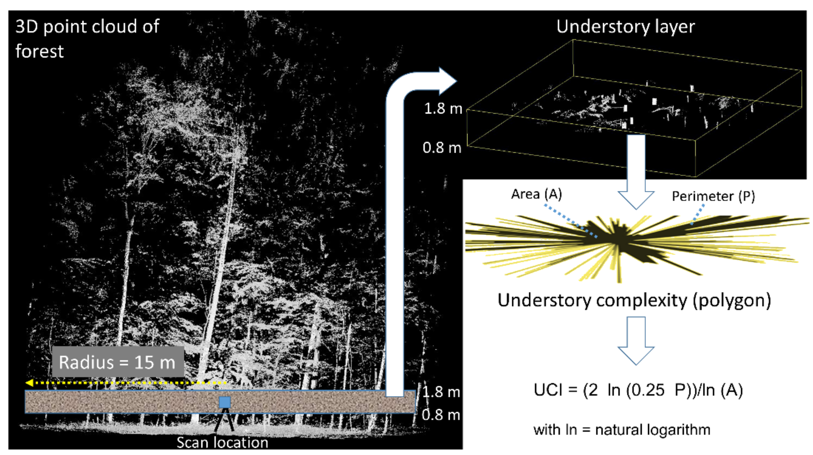 Remotesensing 13 01513 g004 Remotesensing 13 01513 g004