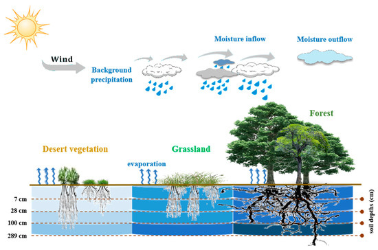 Time-Lagged Correlation between Soil Moisture and Intra-Annual Dynamics ...