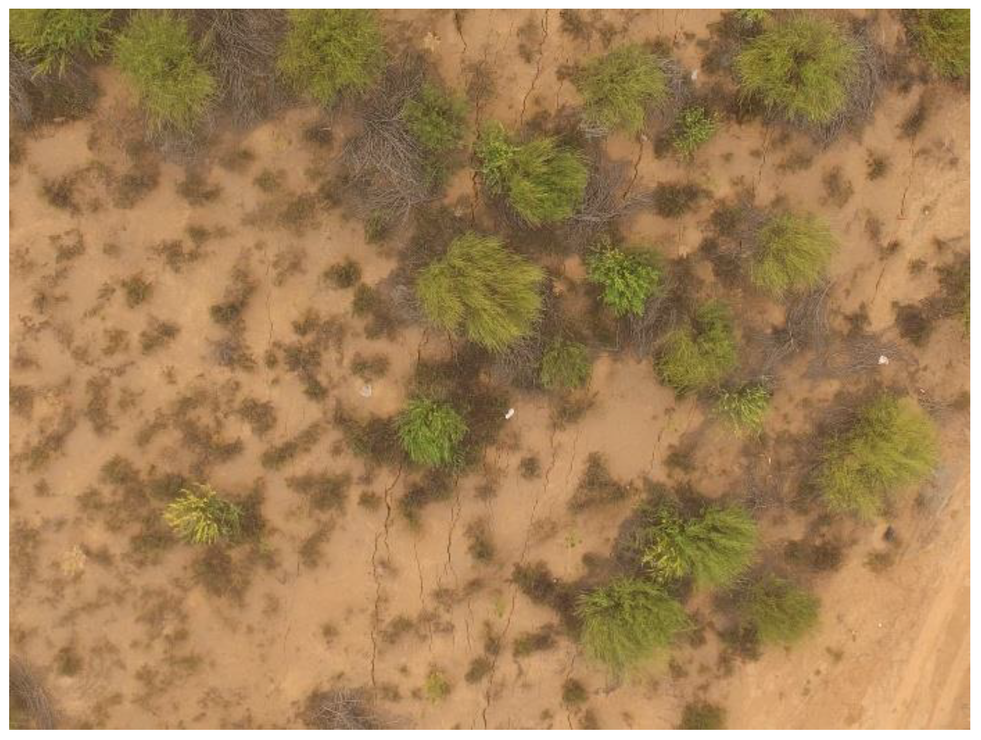 Remotesensing 13 01534 g001 Remotesensing 13 01534 g001