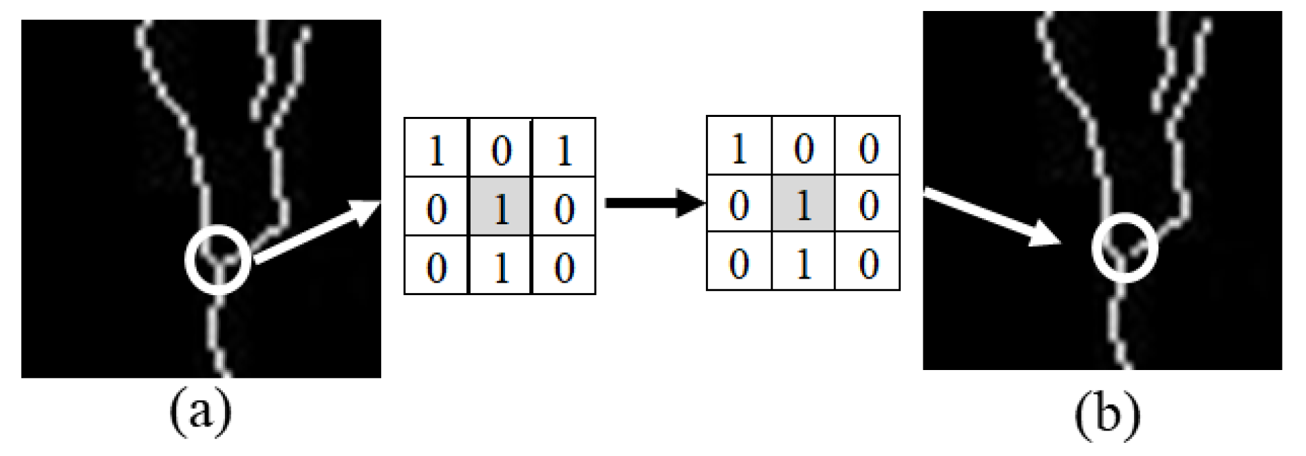 Remotesensing 13 01534 g007 Remotesensing 13 01534 g007