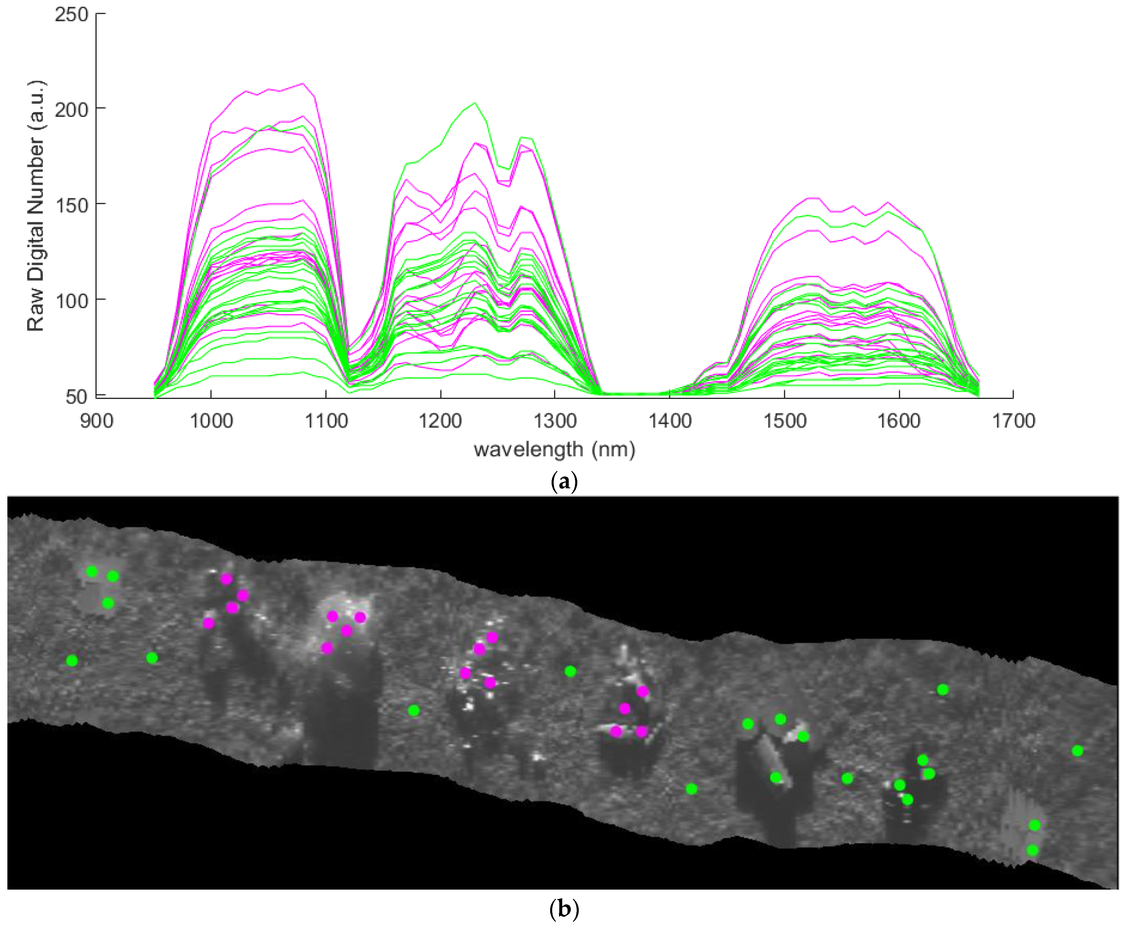 Remotesensing 13 01557 g005