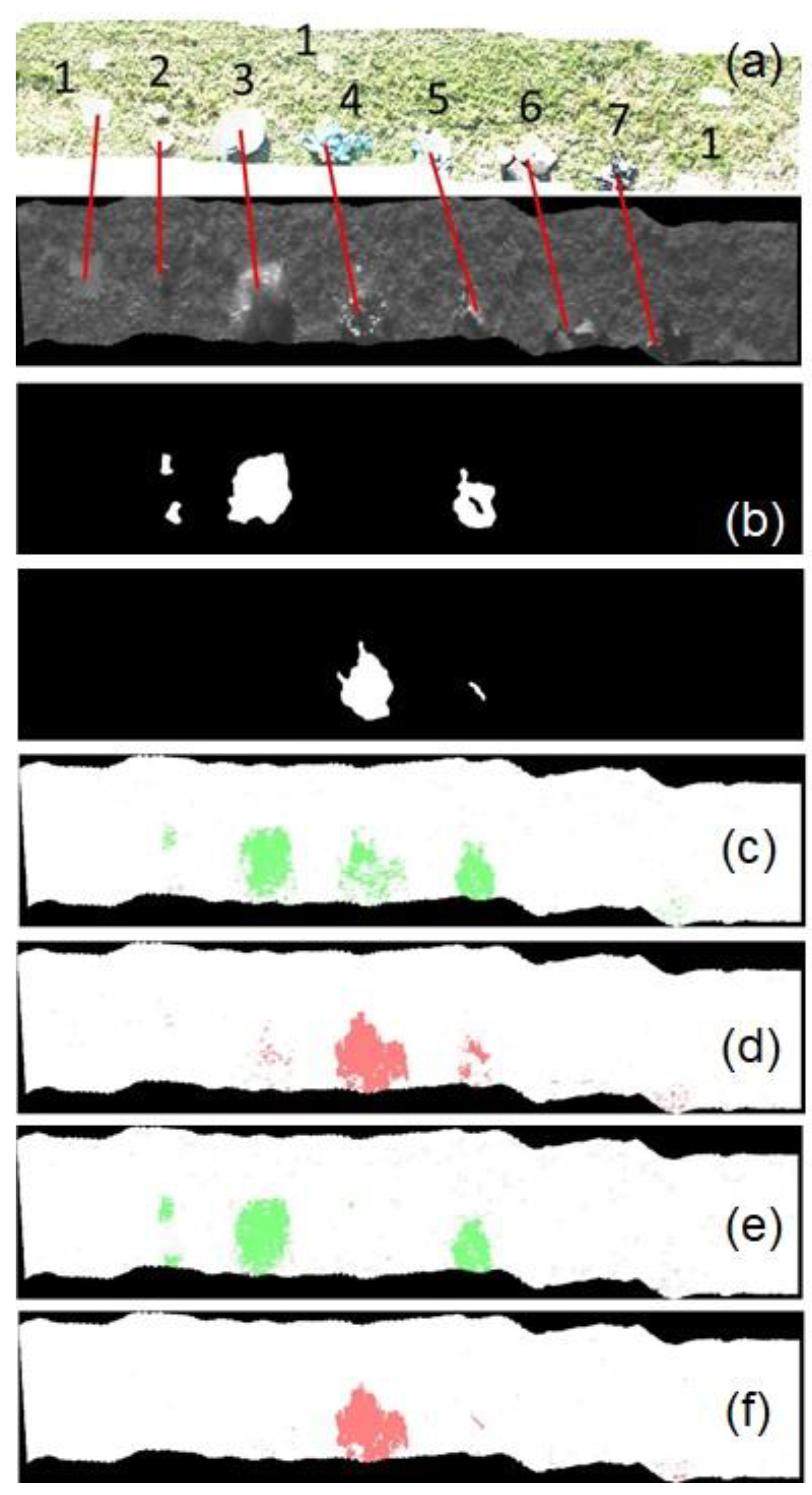 Remotesensing 13 01557 g008