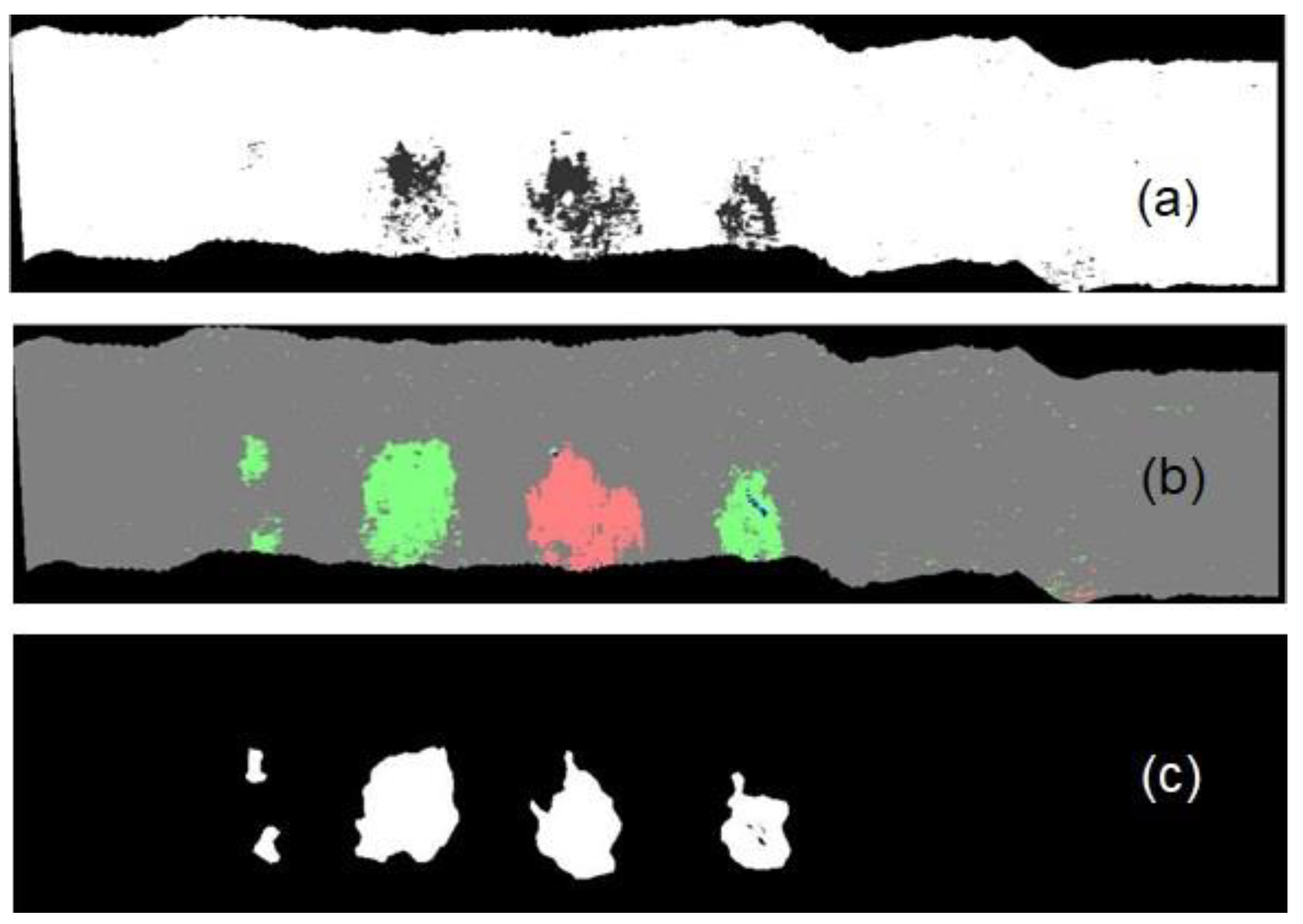 Remotesensing 13 01557 g010